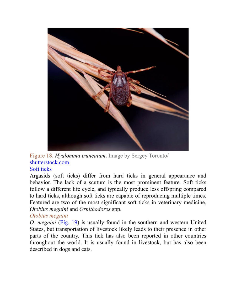 Preview page of Life Cycles of Ectoparasites in Small Animals