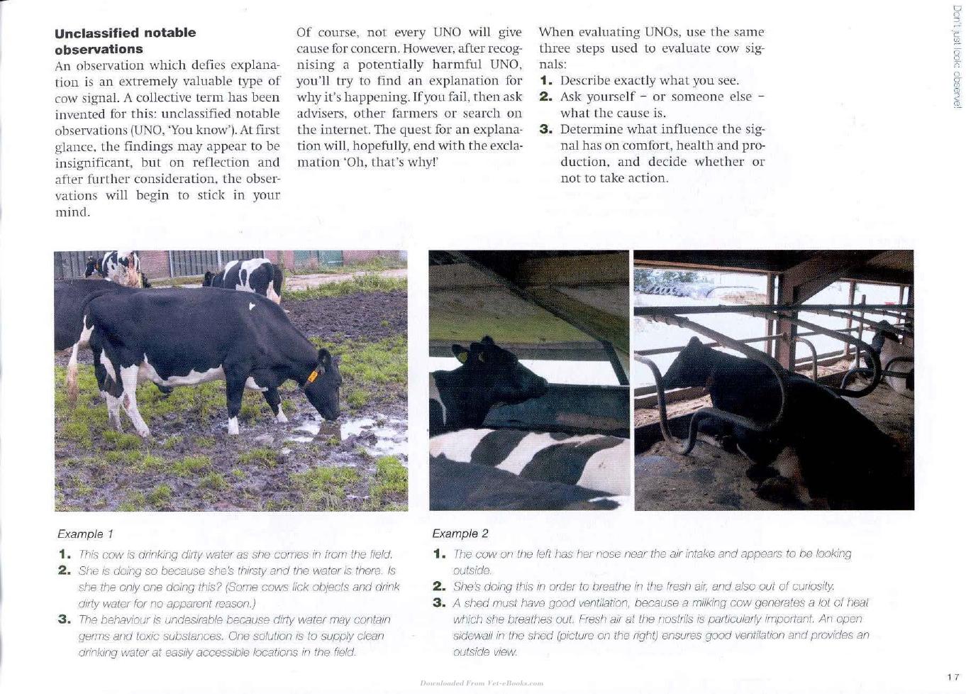 Cow Signals A Practical Guide For Dairy Farm Management