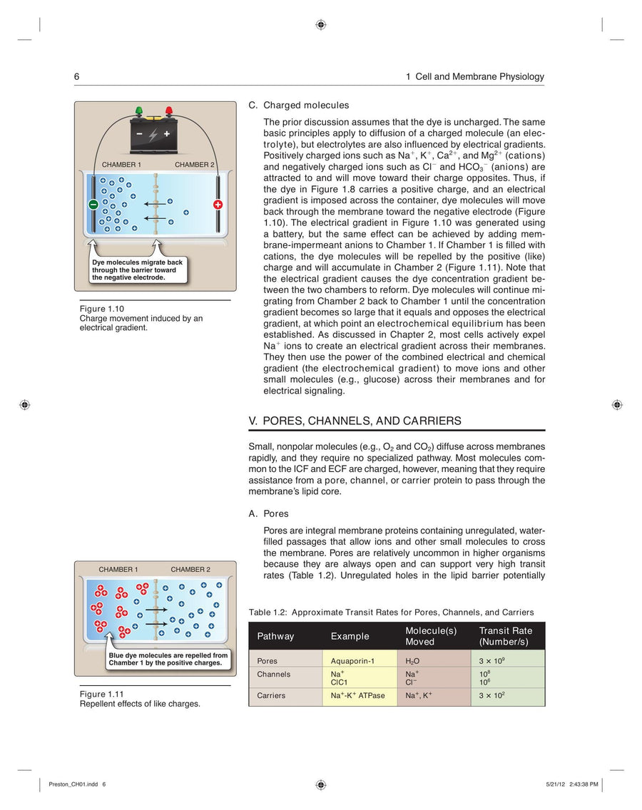 Preview page of Lippincotts Illustrated Reviews Physiology