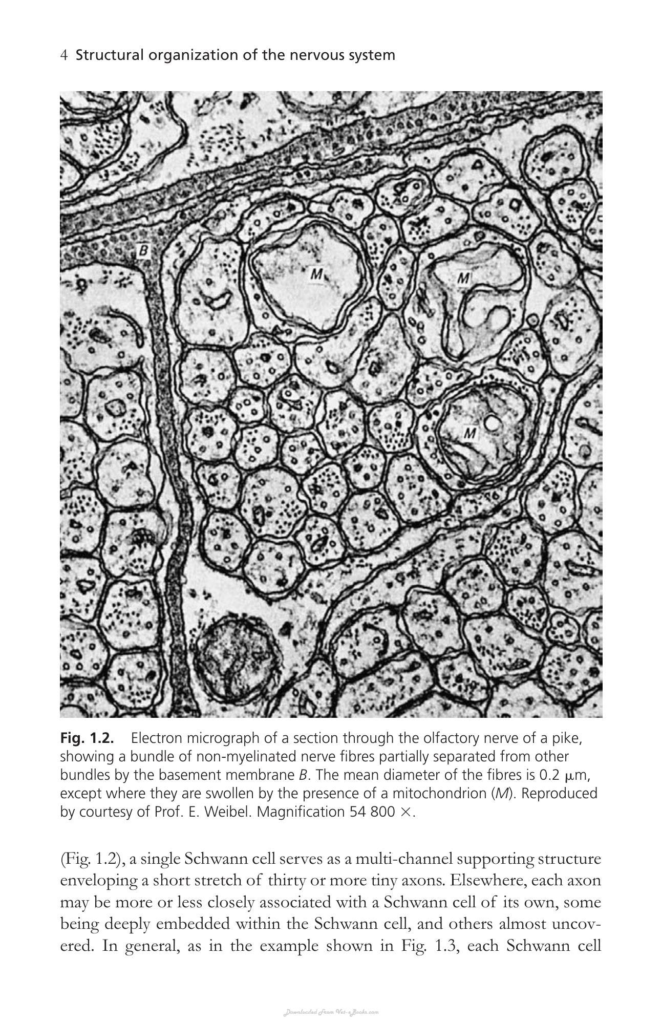 Look inside — page 18