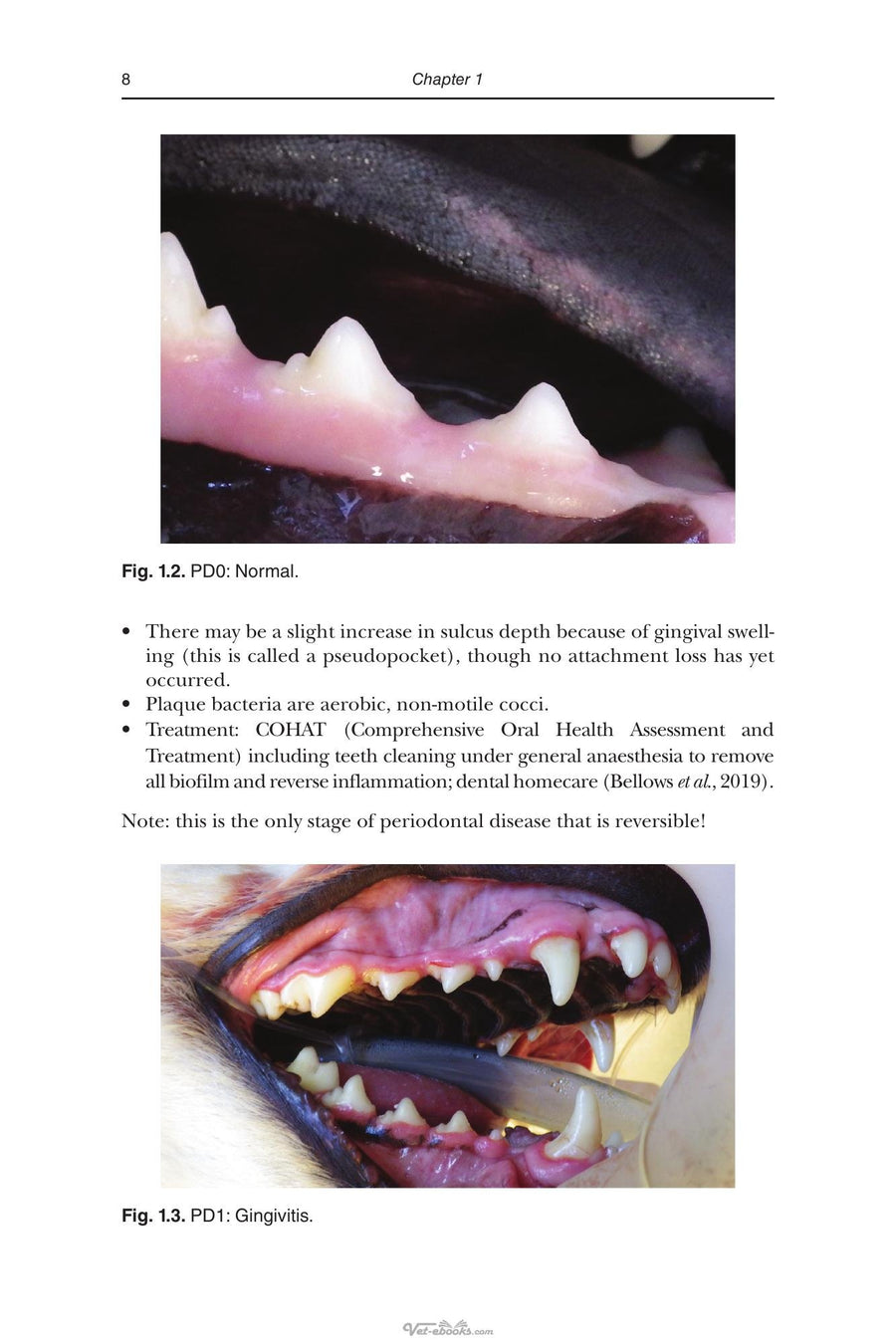 Preview page of An Introduction to Pet Dental Care for Veterinary Nurses and Technicians