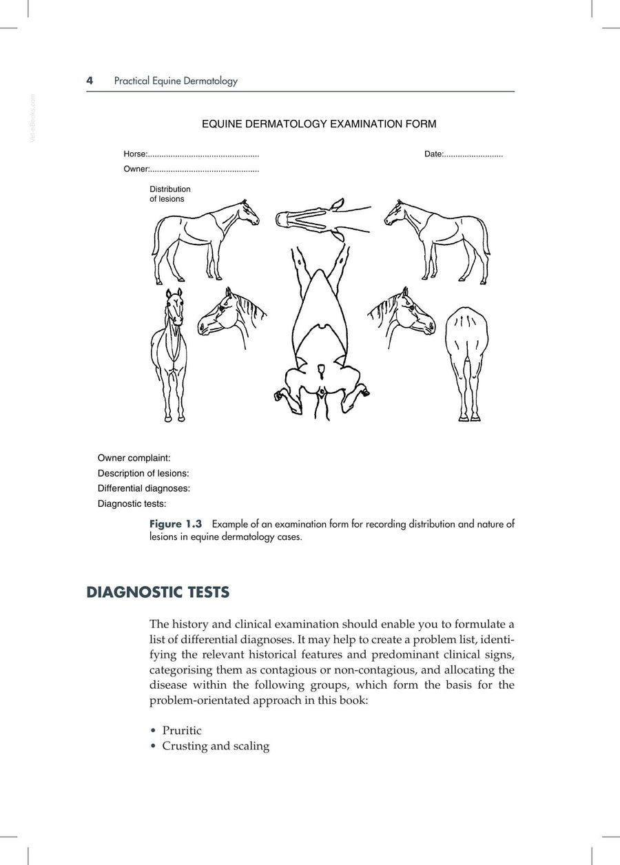 Preview page of Practical Equine Dermatology 2nd Edition