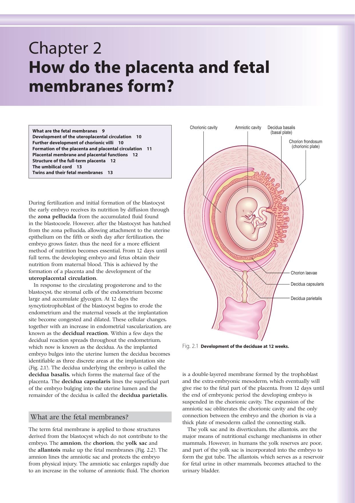 Embryology An Illustrated Colour Text 2Nd Edition