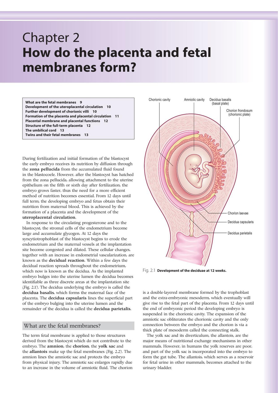 Preview page of Embryology an Illustrated Colour Text 2nd Edition