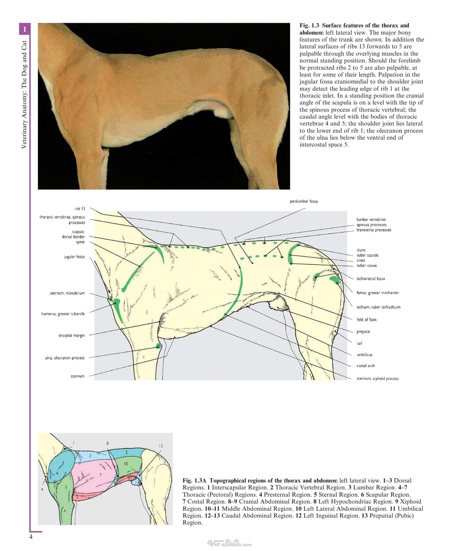Look inside — page 18