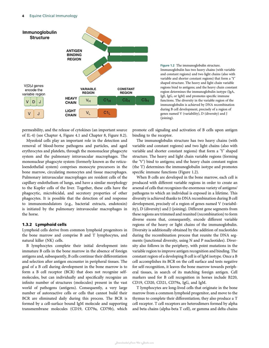 Preview page of Equine Clinical Immunology