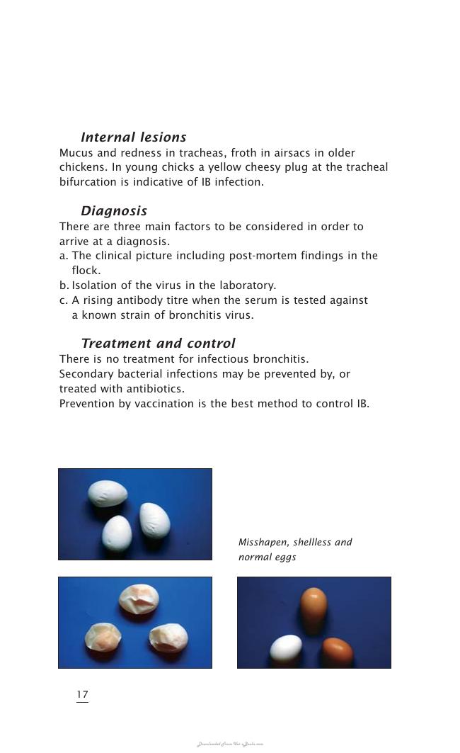 Important Poultry Diseases