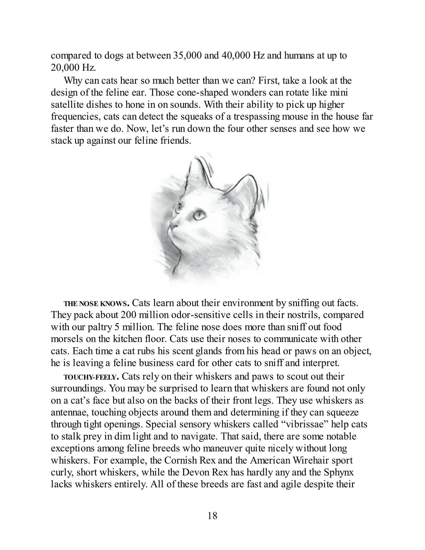 Look inside — page 18