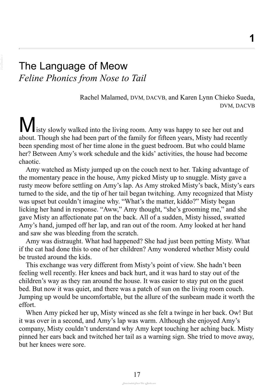Preview page of Decoding Your Cat