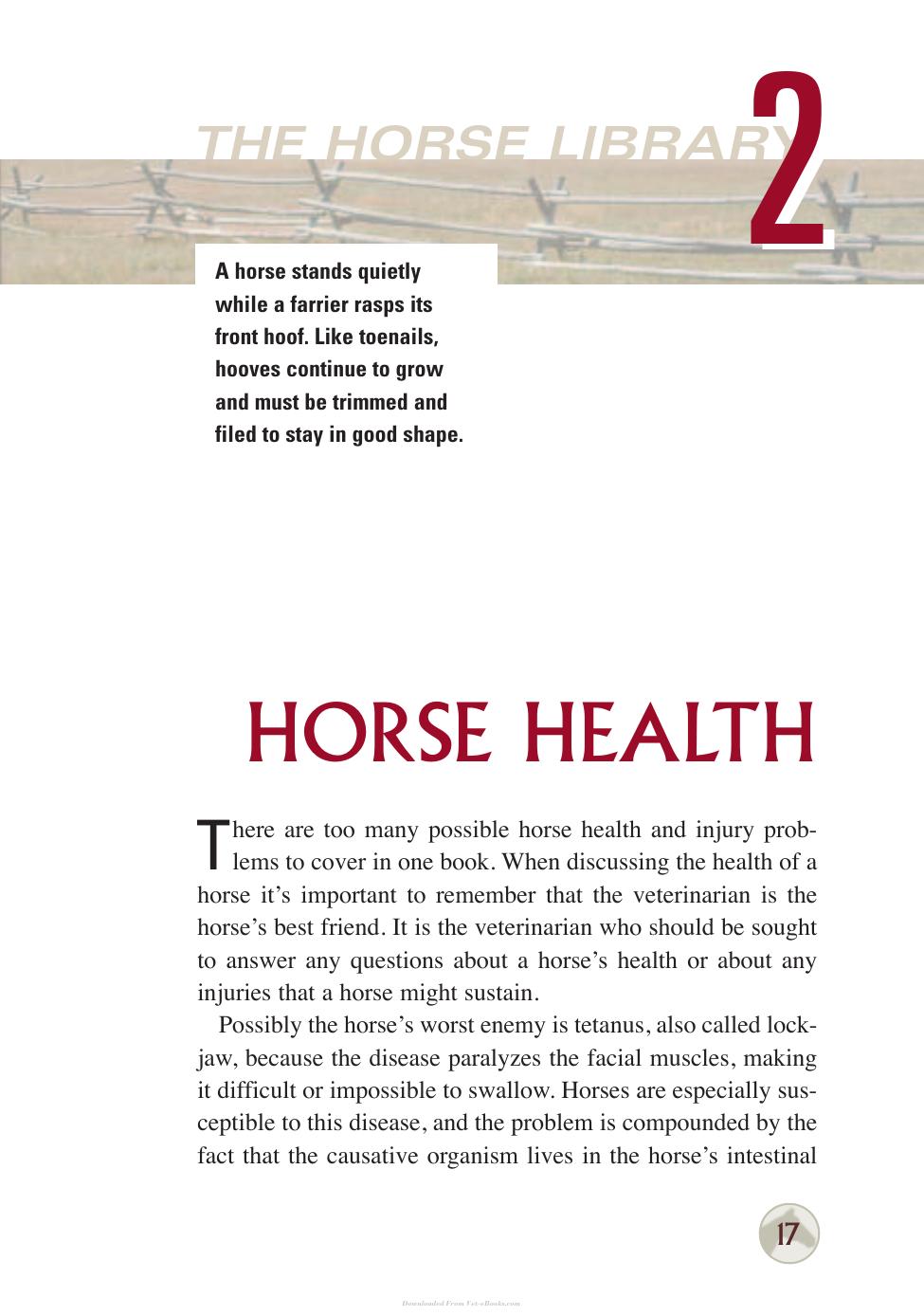 Horse Health And Care