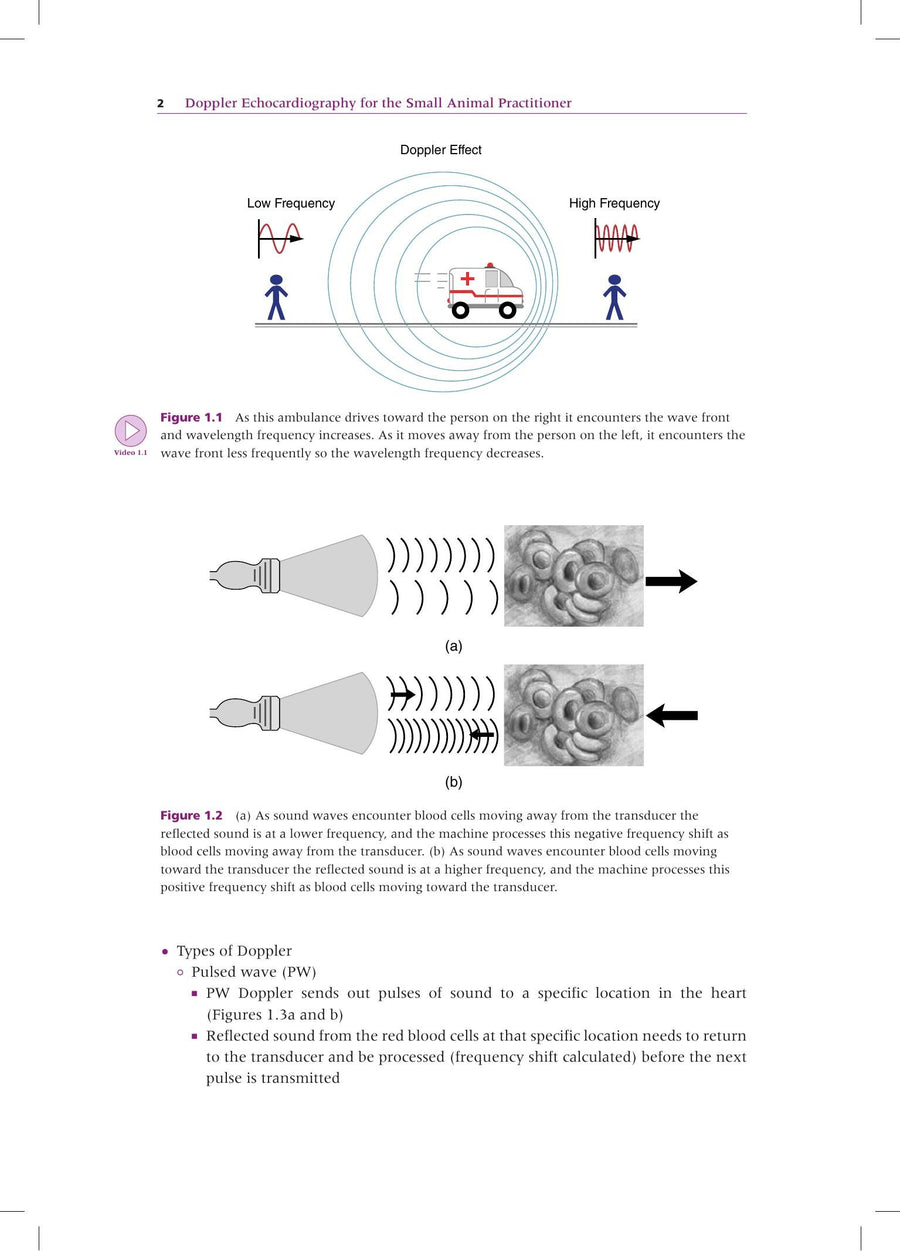 Preview page of Doppler Echocardiography for the Small Animal Practitioner