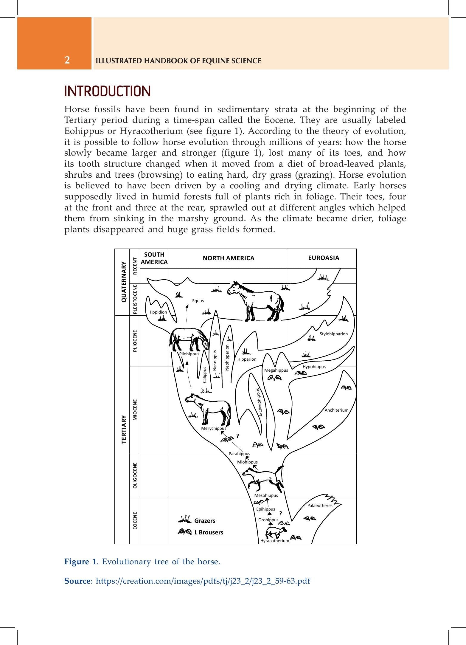 Look inside — page 18