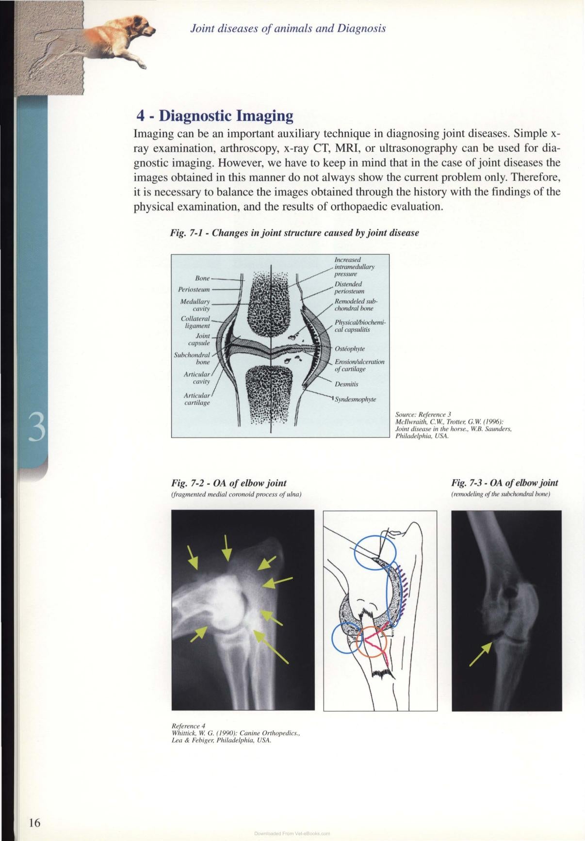 Diagnosis And Treatment Of Joint Disease Of Small Animals