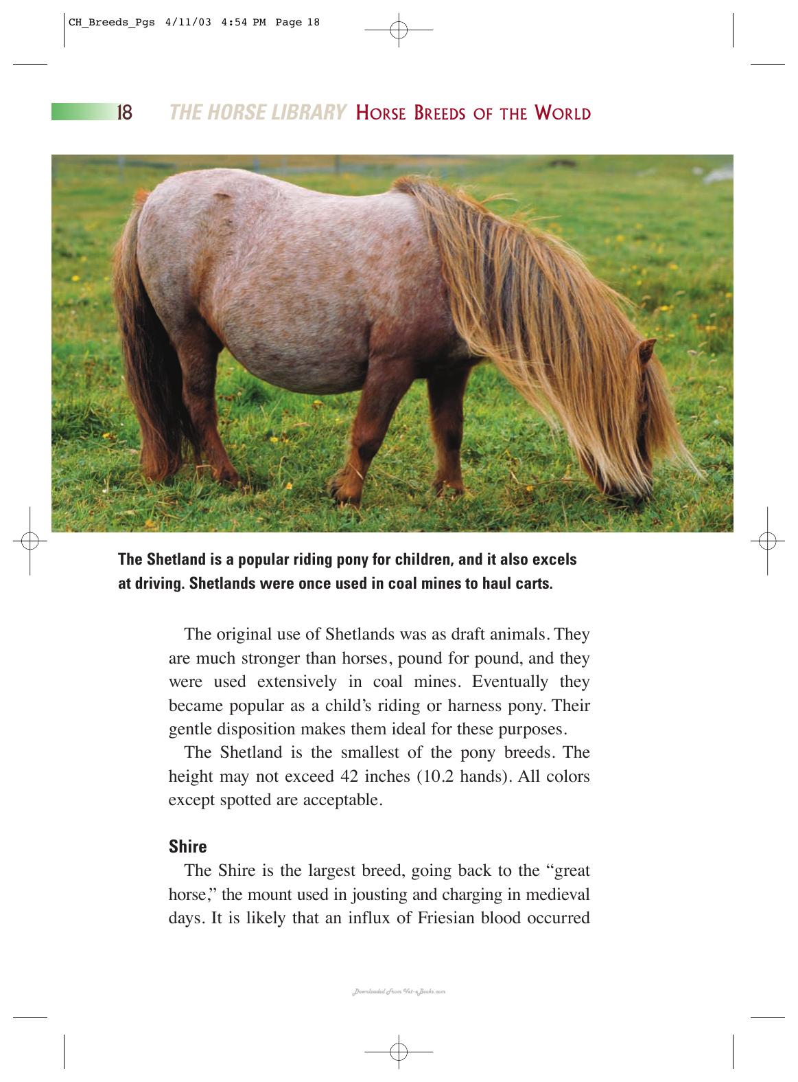 Horse Breeds Of The World