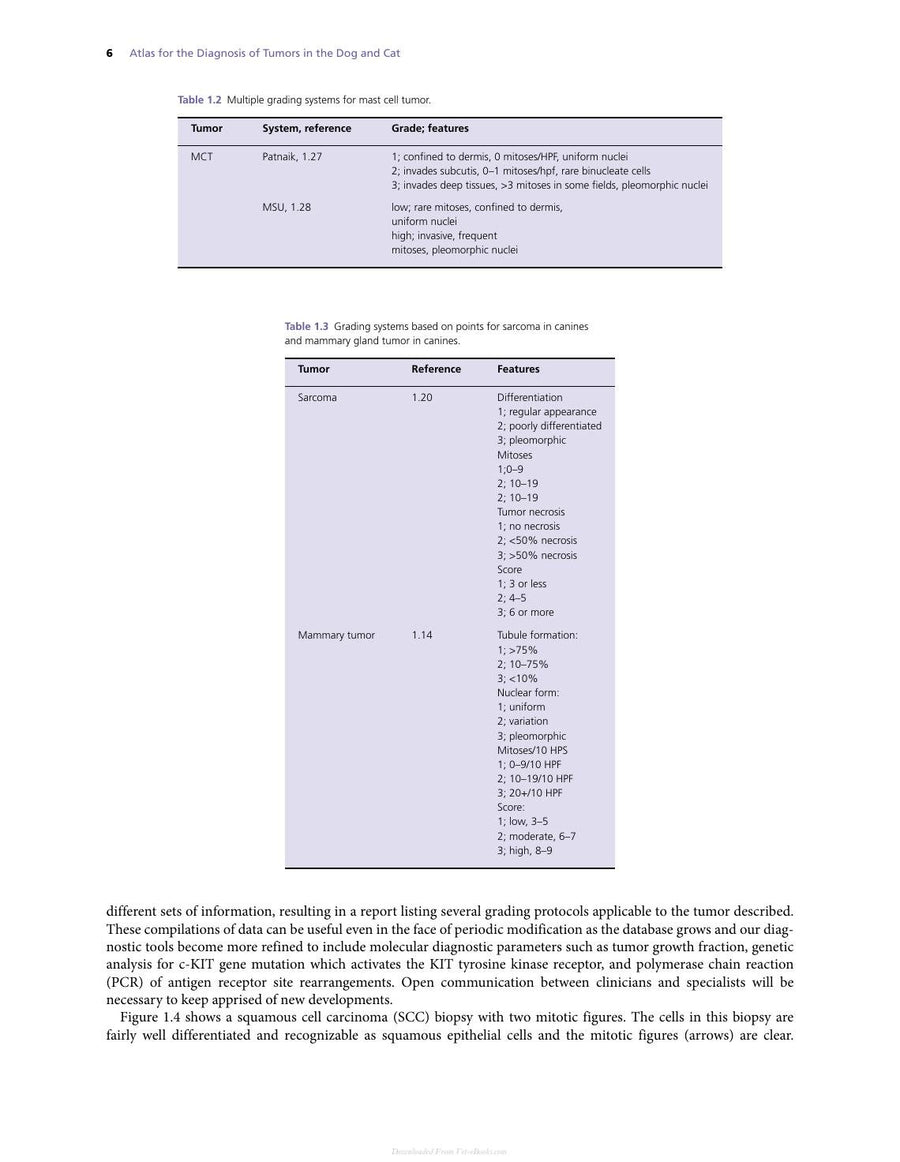 Preview page of Atlas for the Diagnosis of Tumors in the Dog and Cat