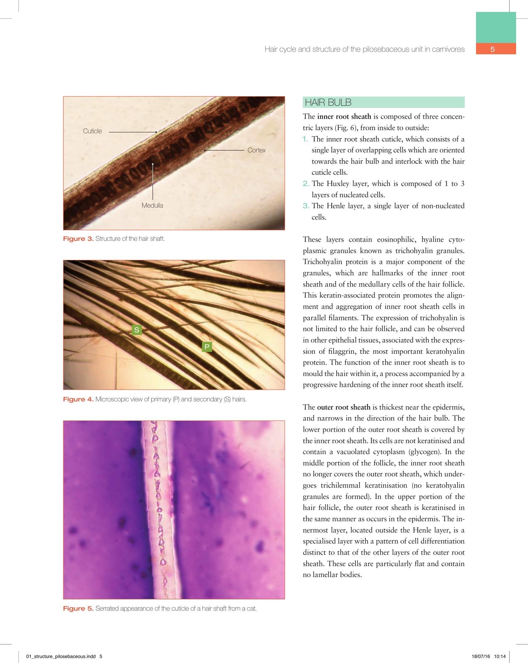 Look inside — page 19