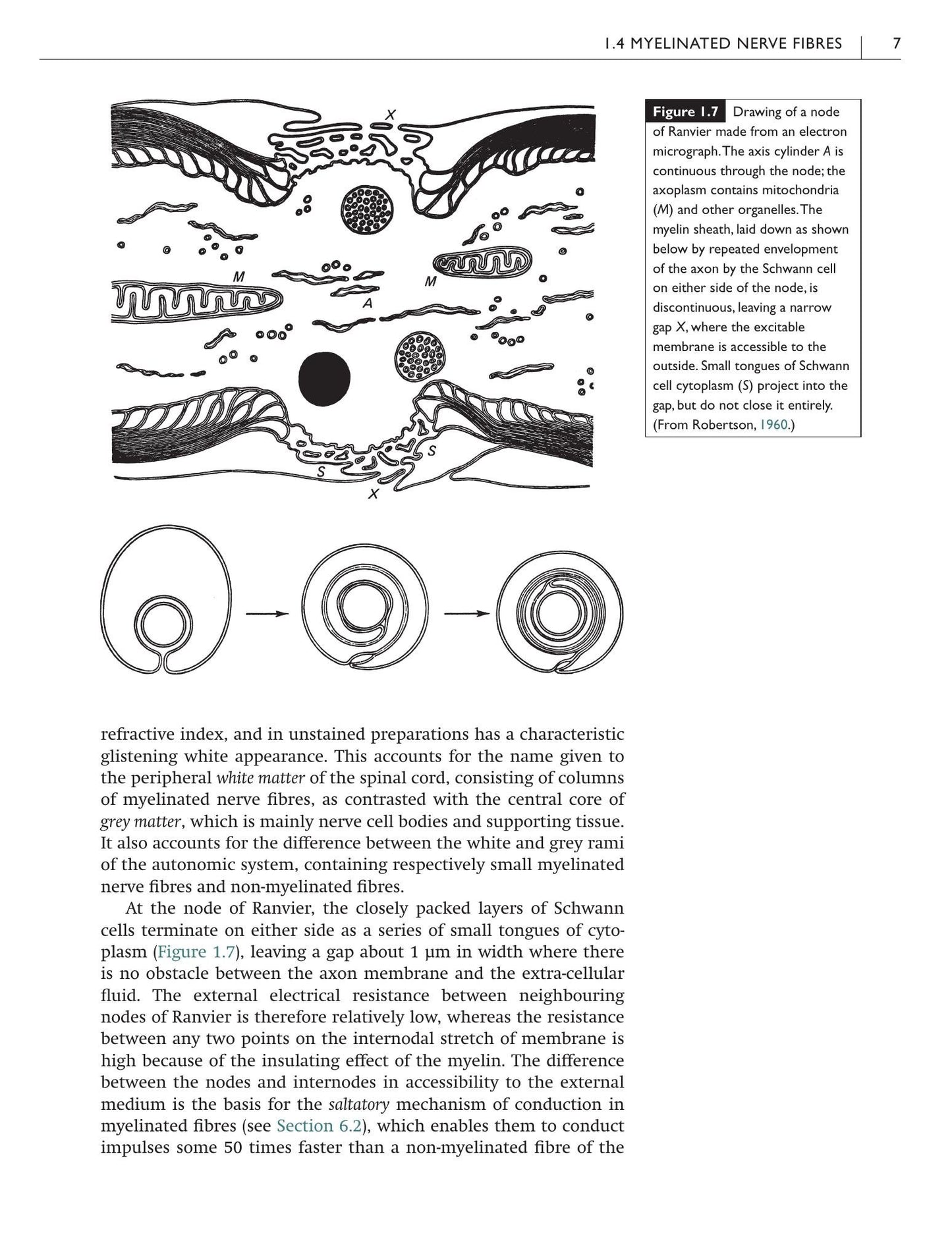 Look inside — page 19