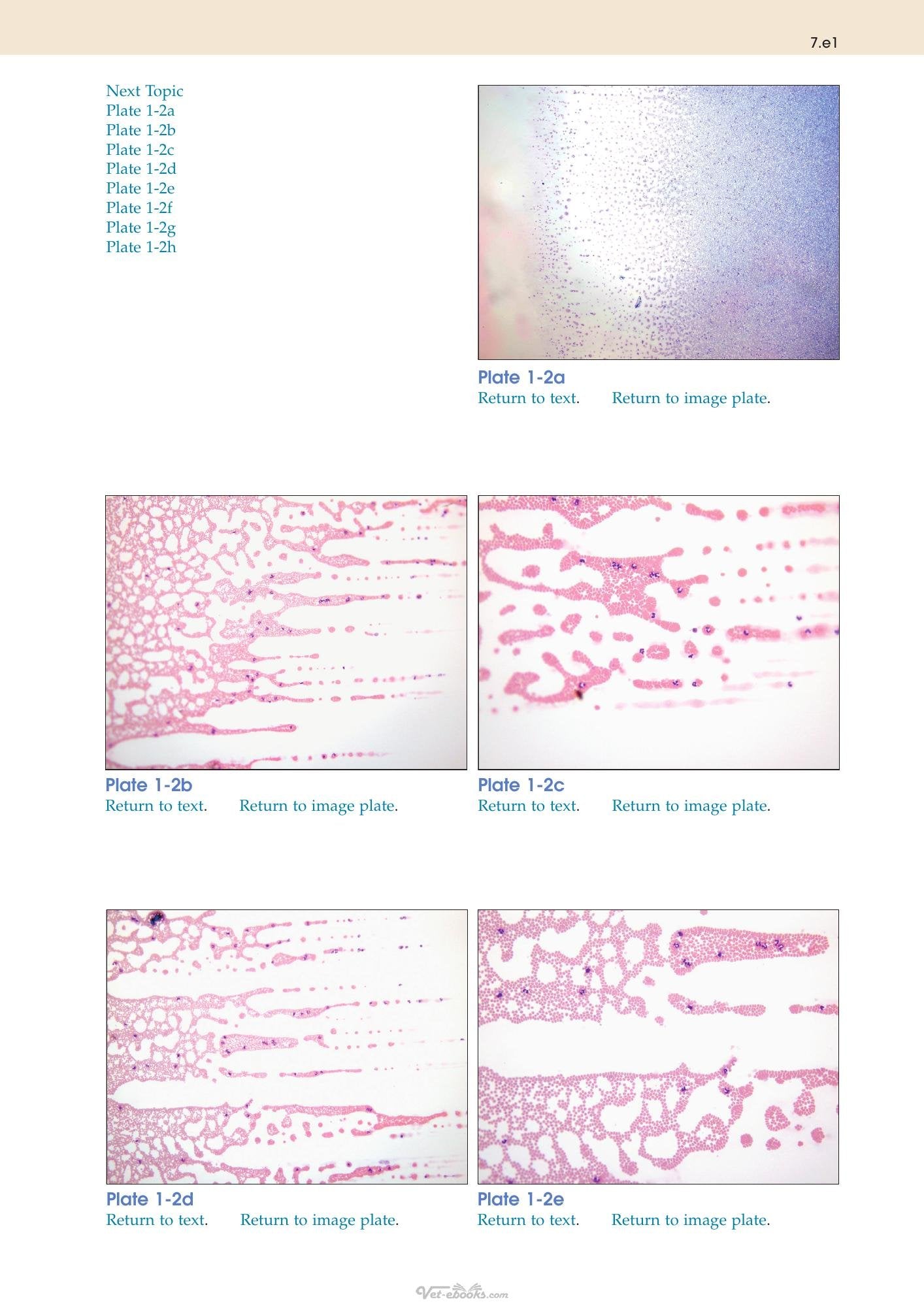 Look inside — page 19