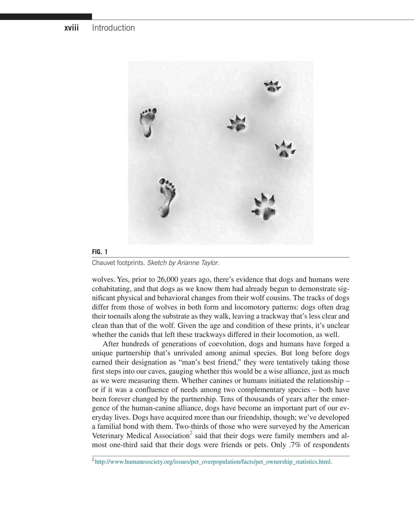 Look inside — page 19
