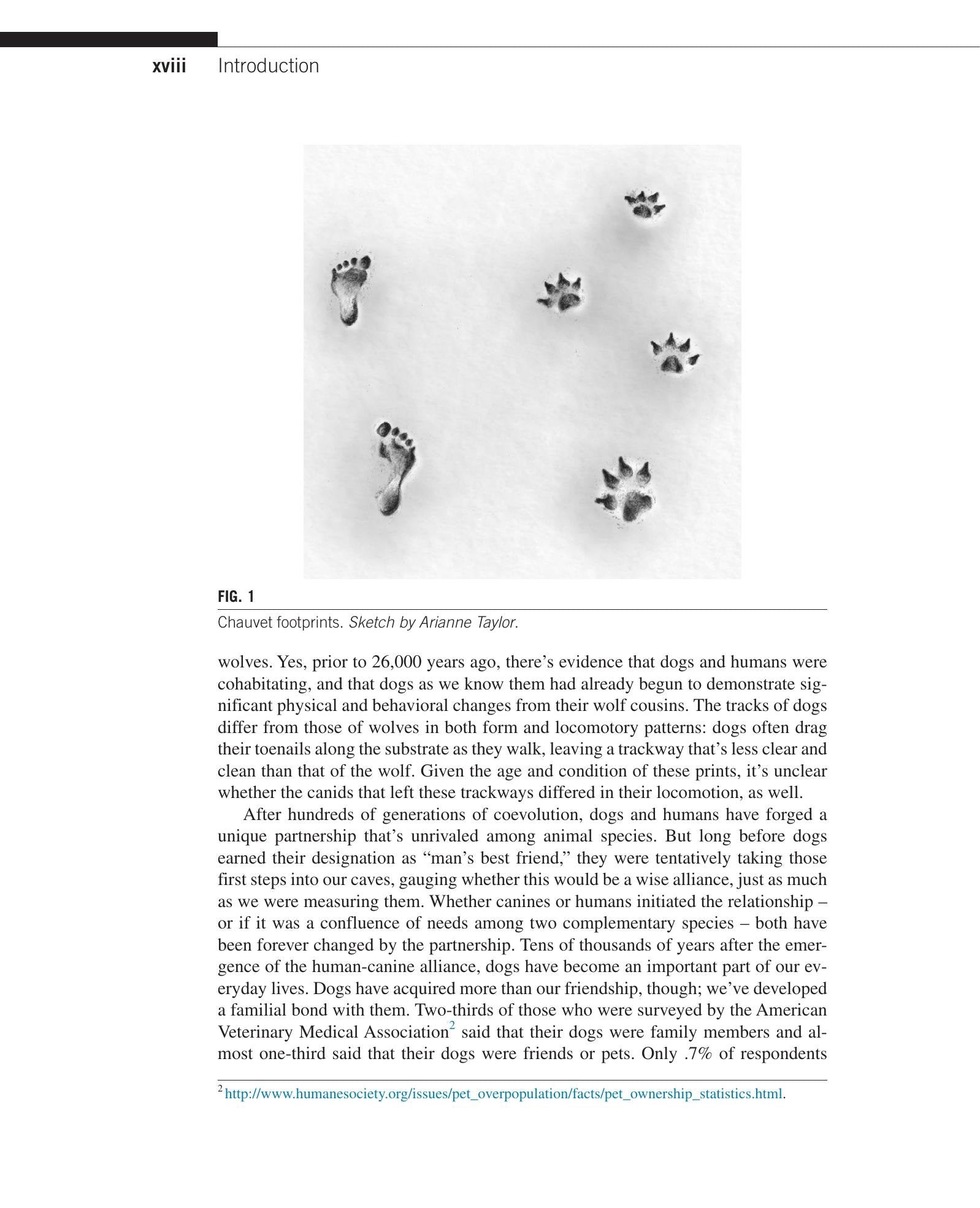 Look inside — page 19
