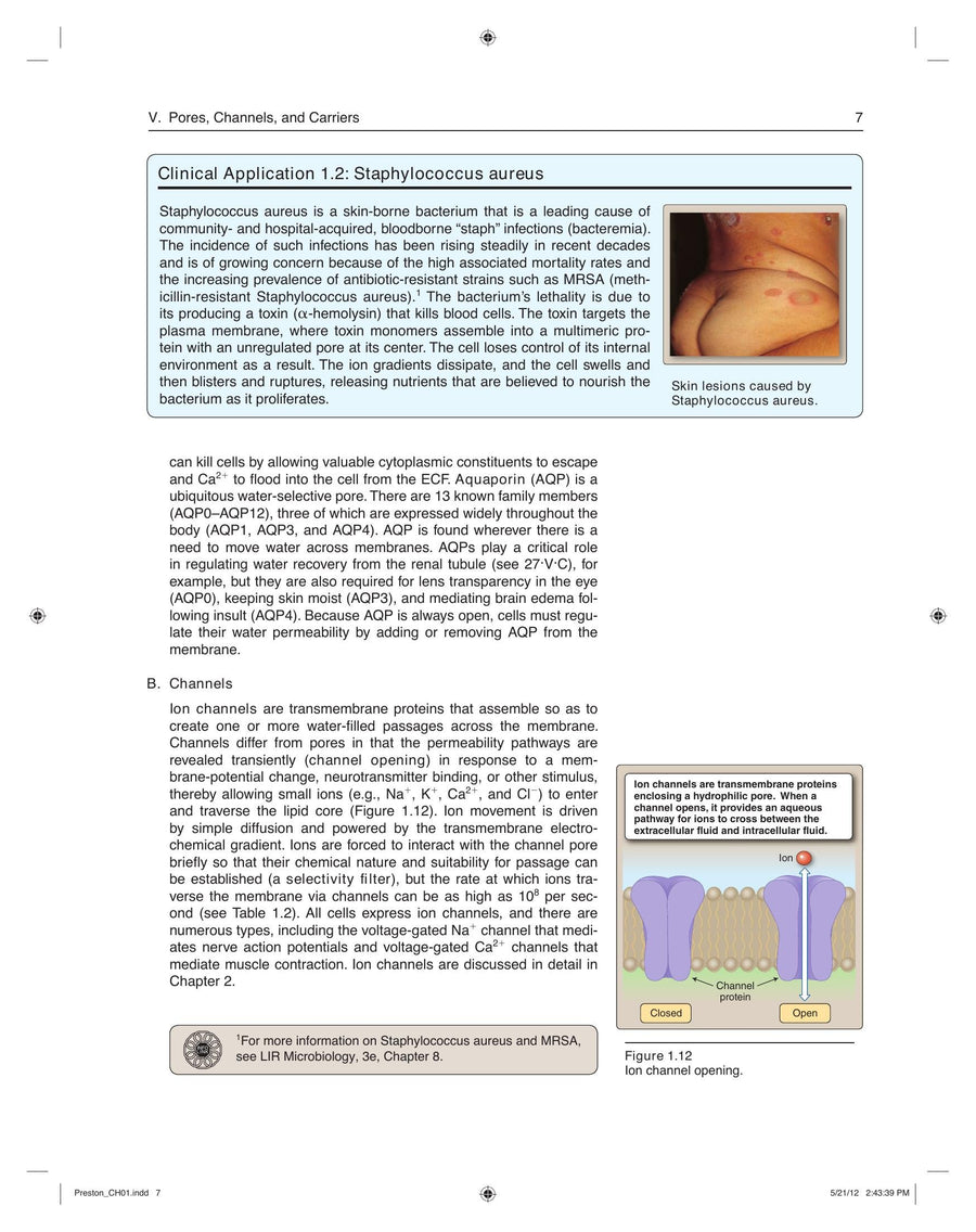Preview page of Lippincotts Illustrated Reviews Physiology
