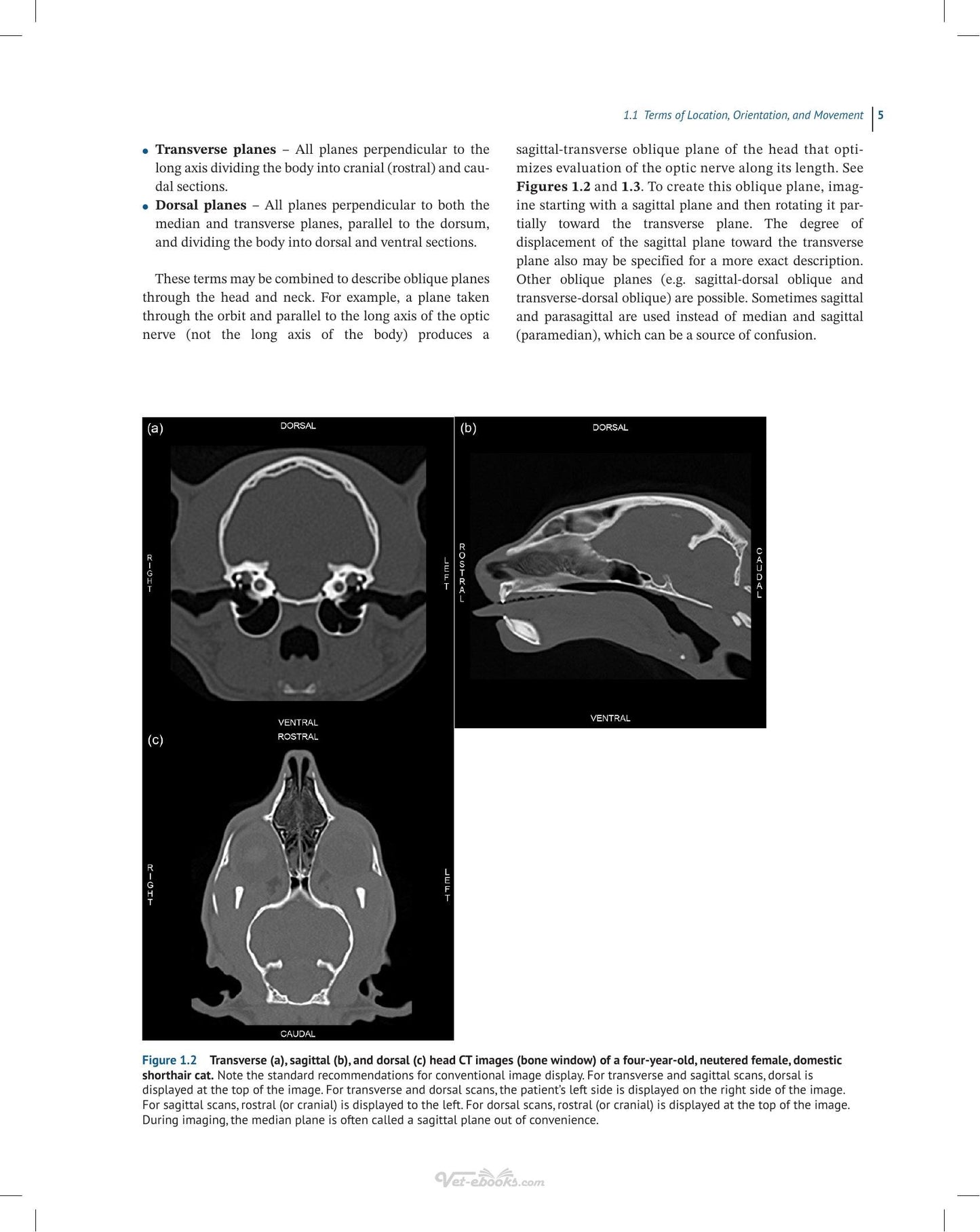 Look inside — page 19
