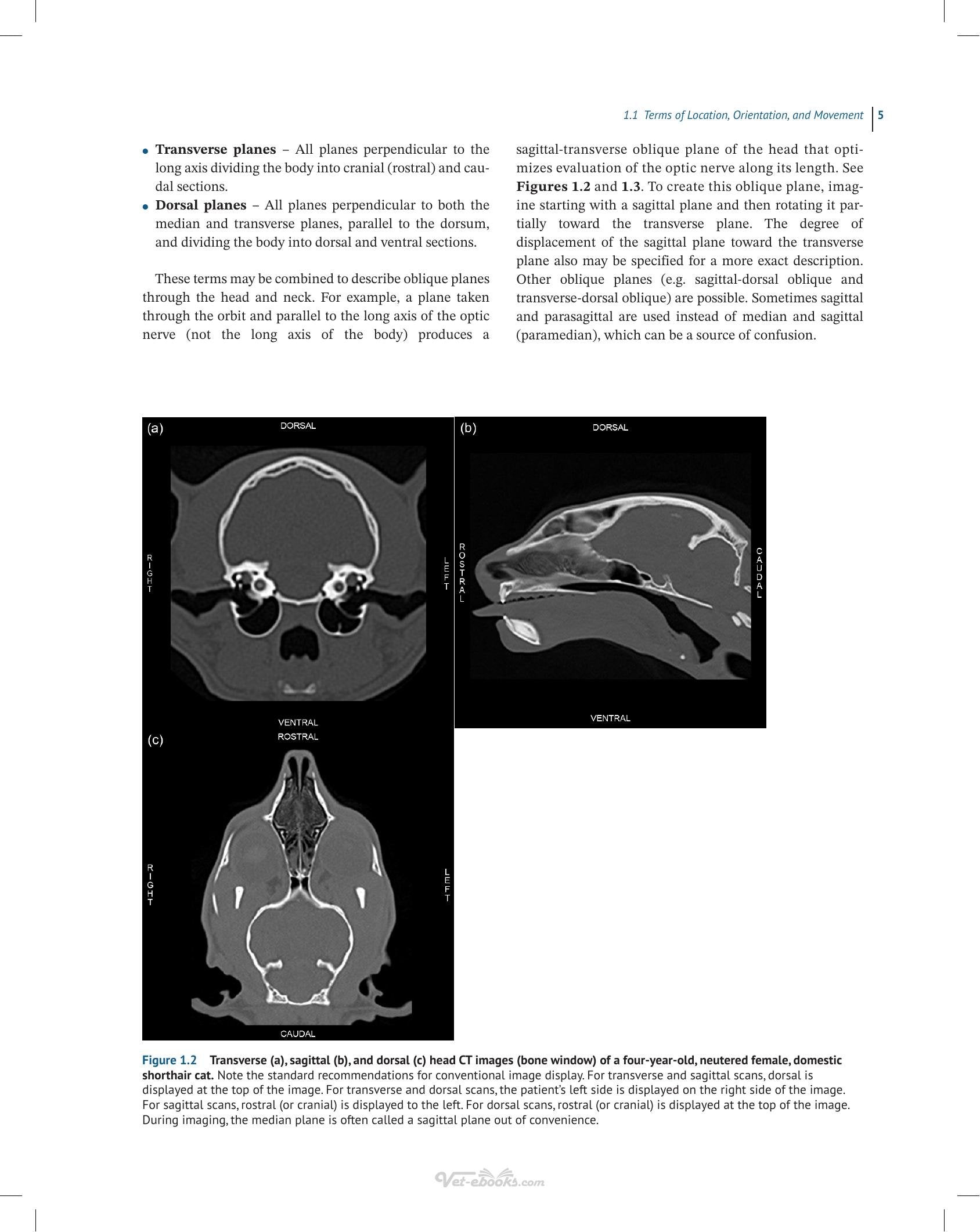 Look inside — page 19