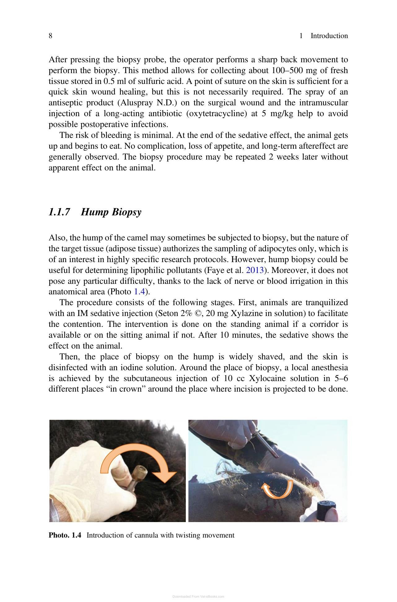 Look inside — page 19