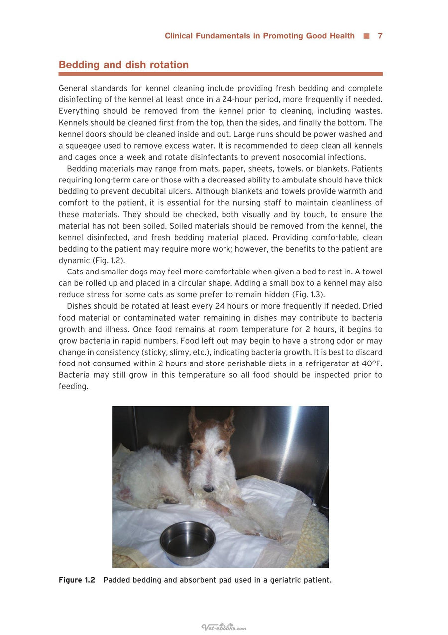 Preview page of Clinical Small Animal Care Promoting Patient Health Through Preventative Nursing