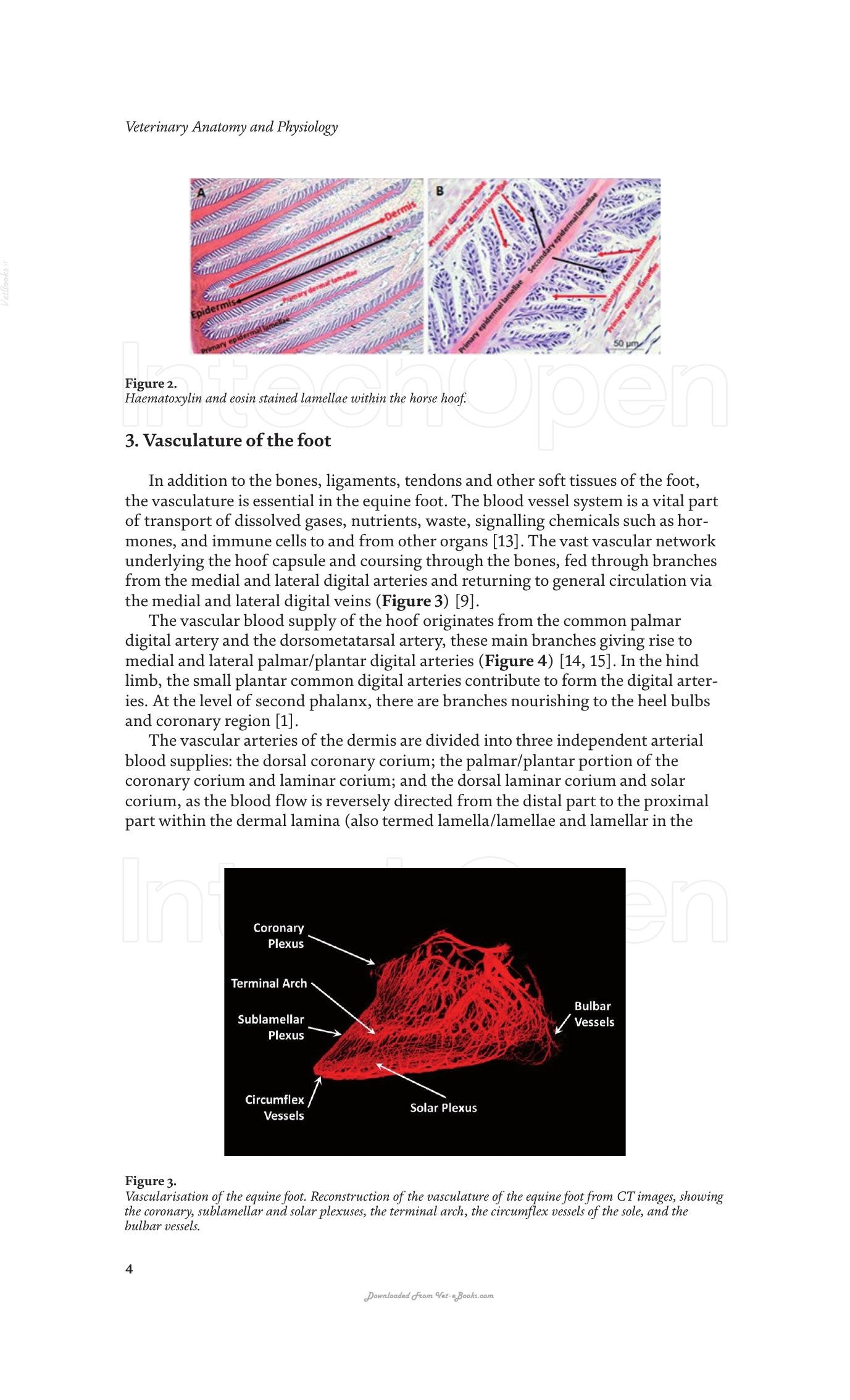 Look inside — page 19