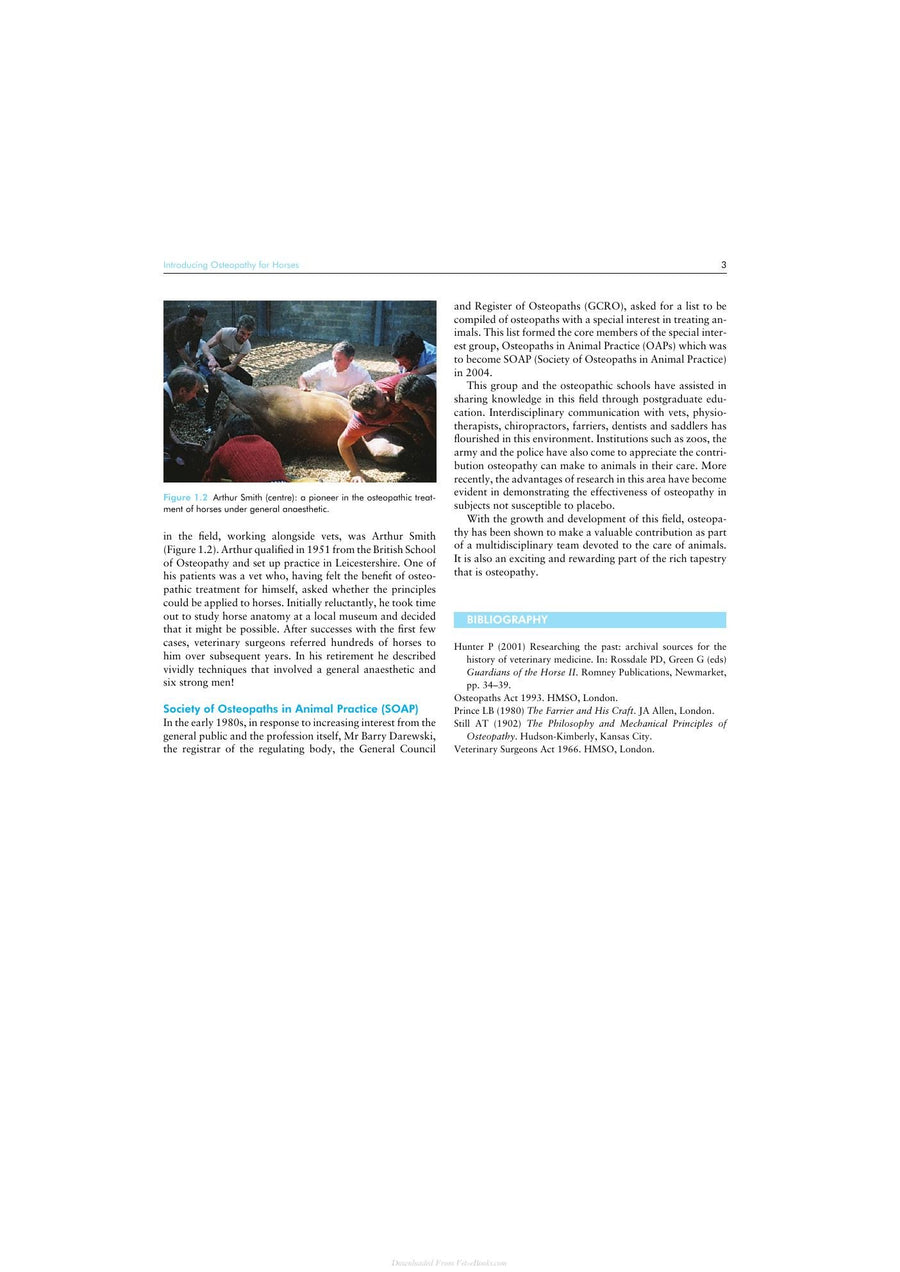 Preview page of Osteopathy and the Treatment of Horses