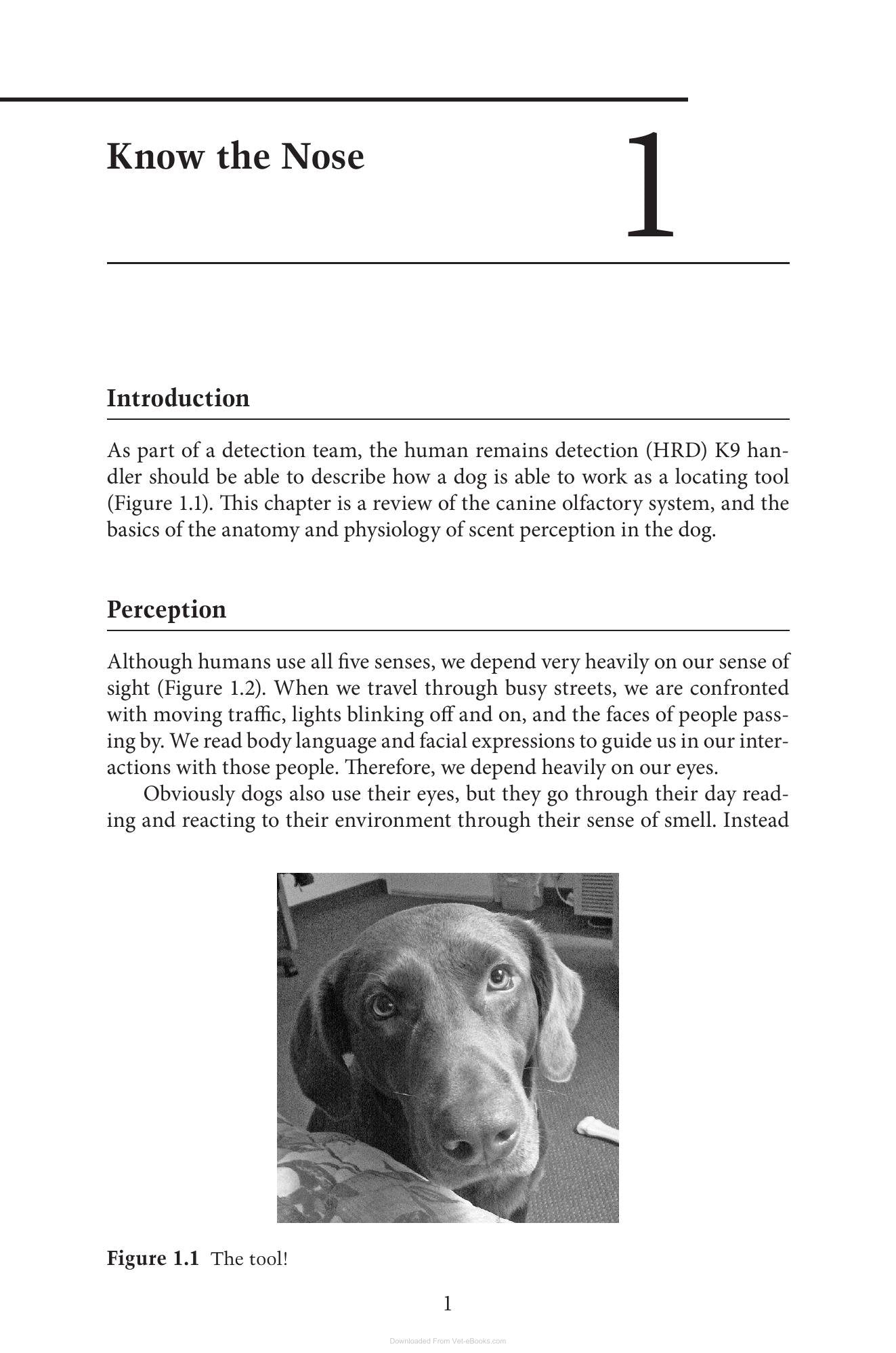 Look inside — page 19