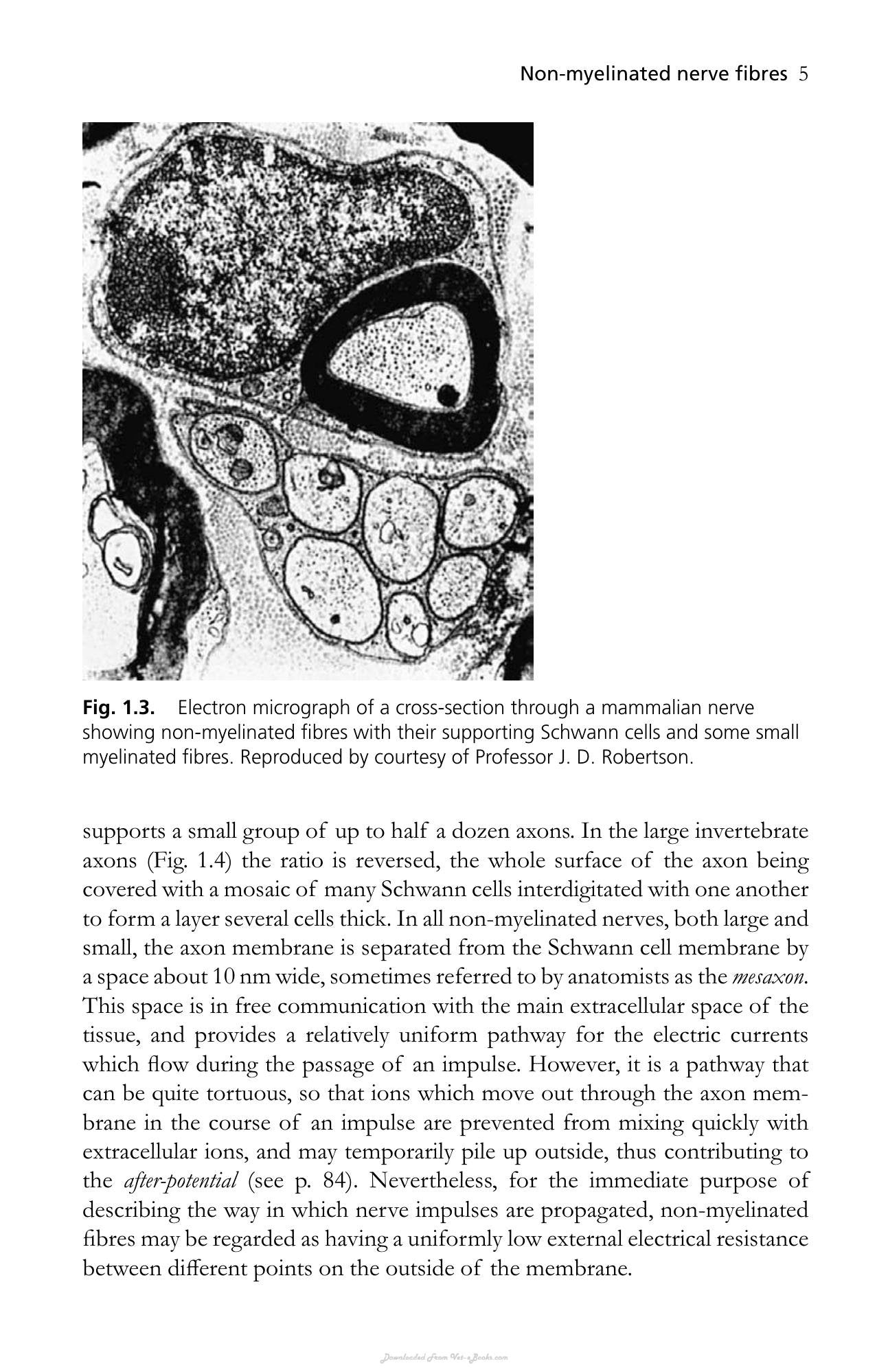 Look inside — page 19