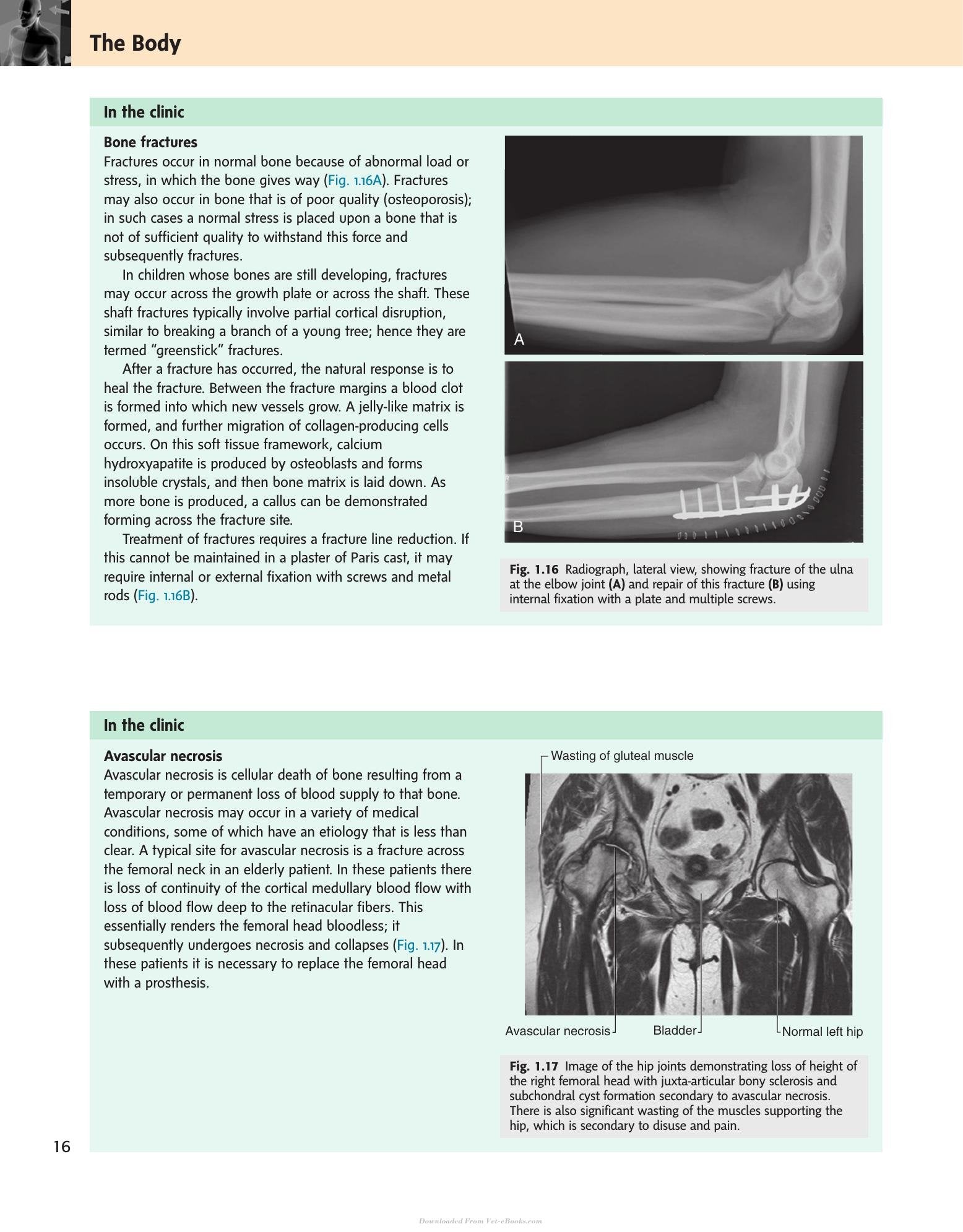 Look inside — page 19
