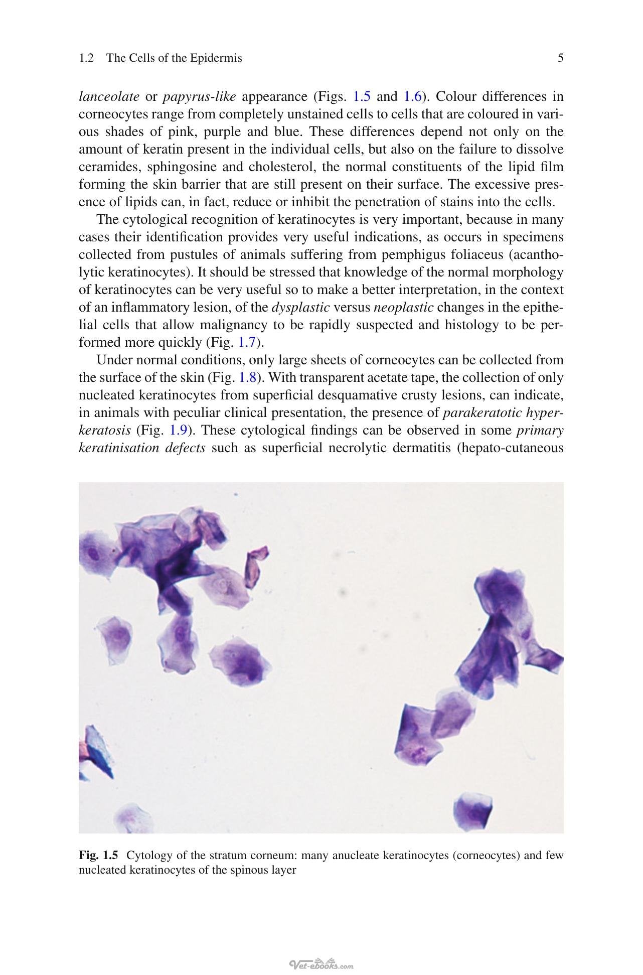 Look inside — page 19