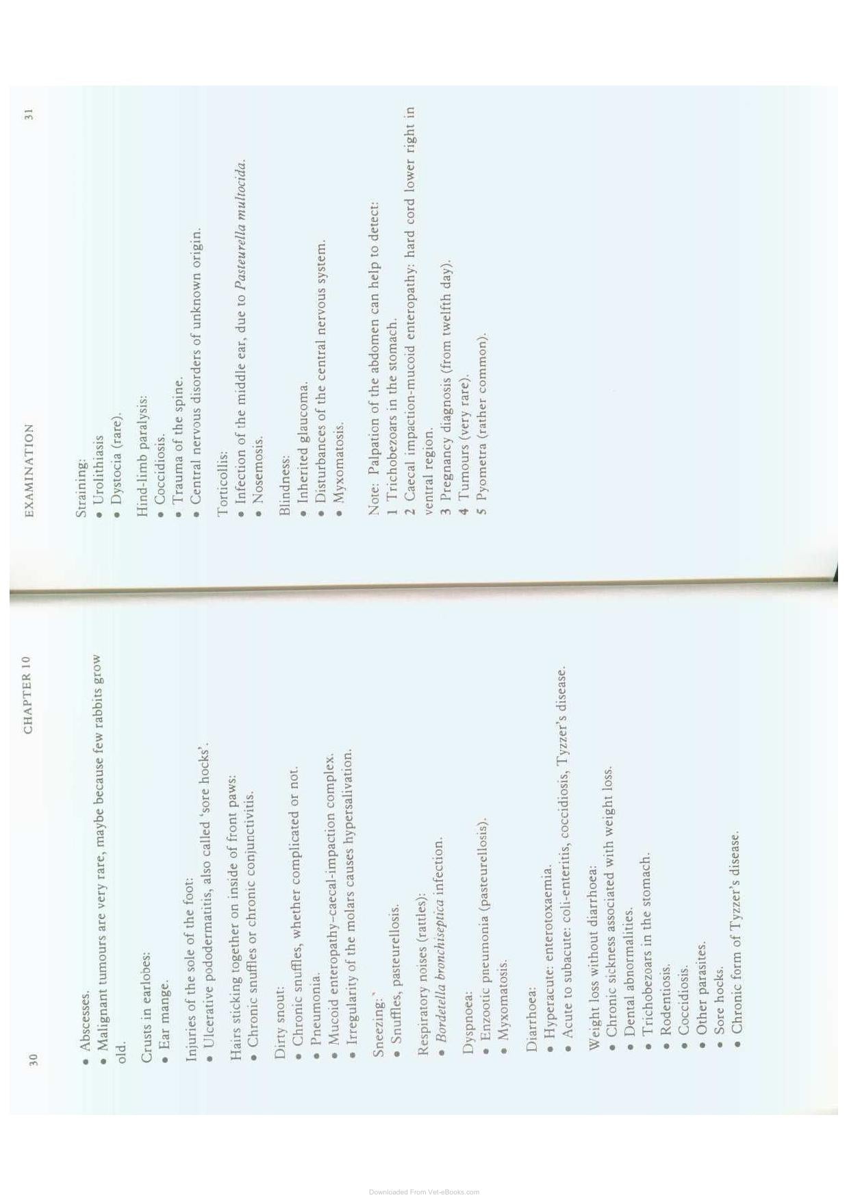 Diseases Of Domestic Rabbits