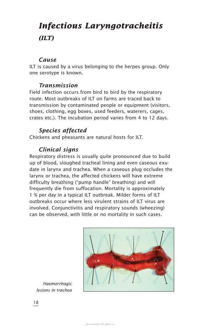 Important Poultry Diseases