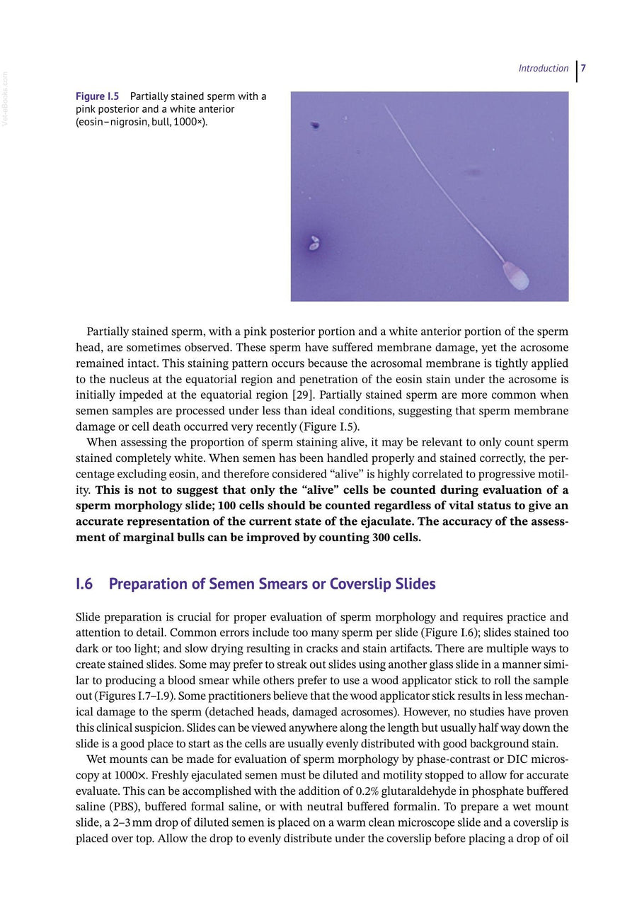 Preview page of Sperm Morphology of Domestic Animals