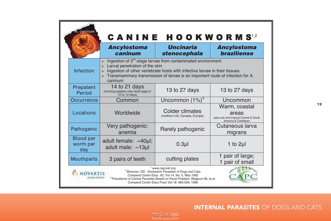 Internal Parasites Of Dogs And Cats Diagnostic Manual