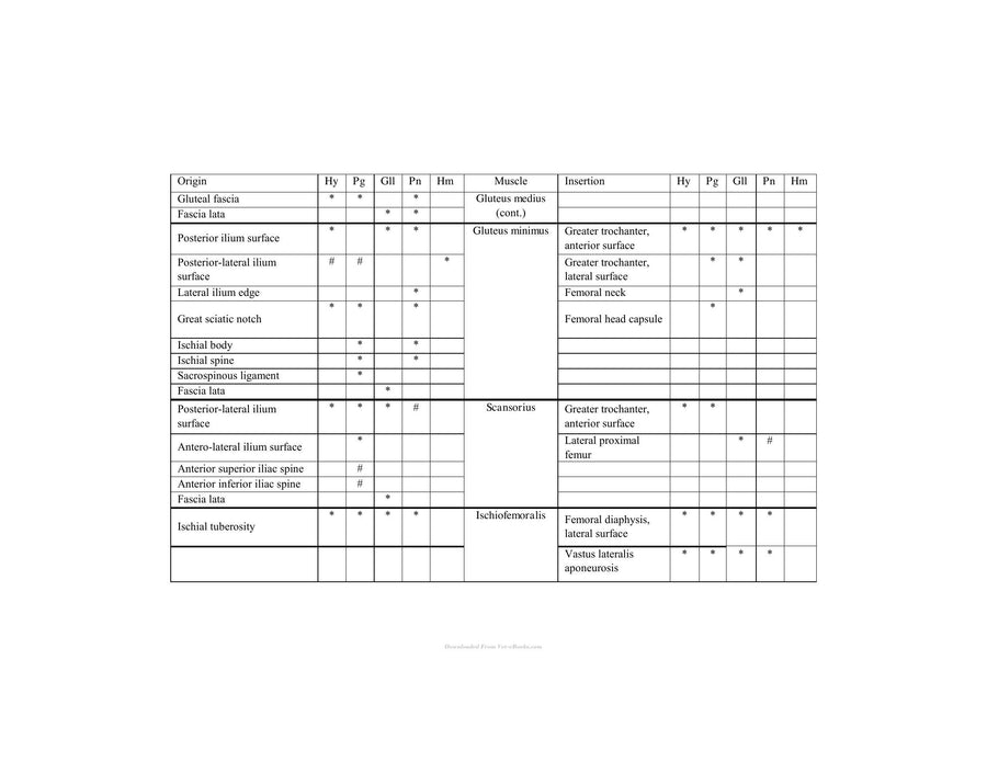 Preview page of Primates Classification Evolution and Behavior