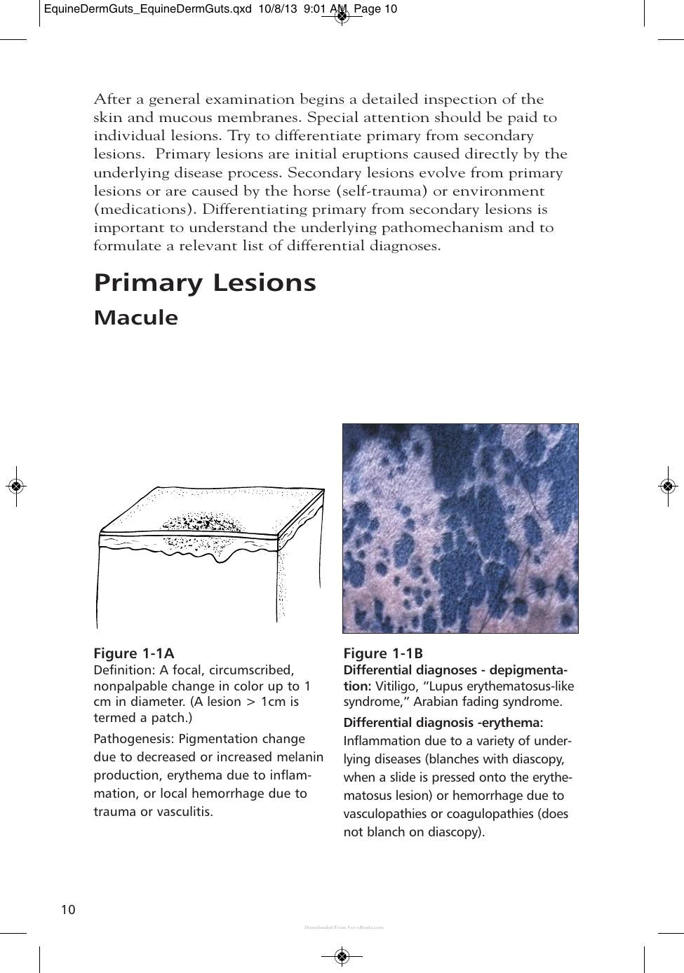 Look inside — page 19