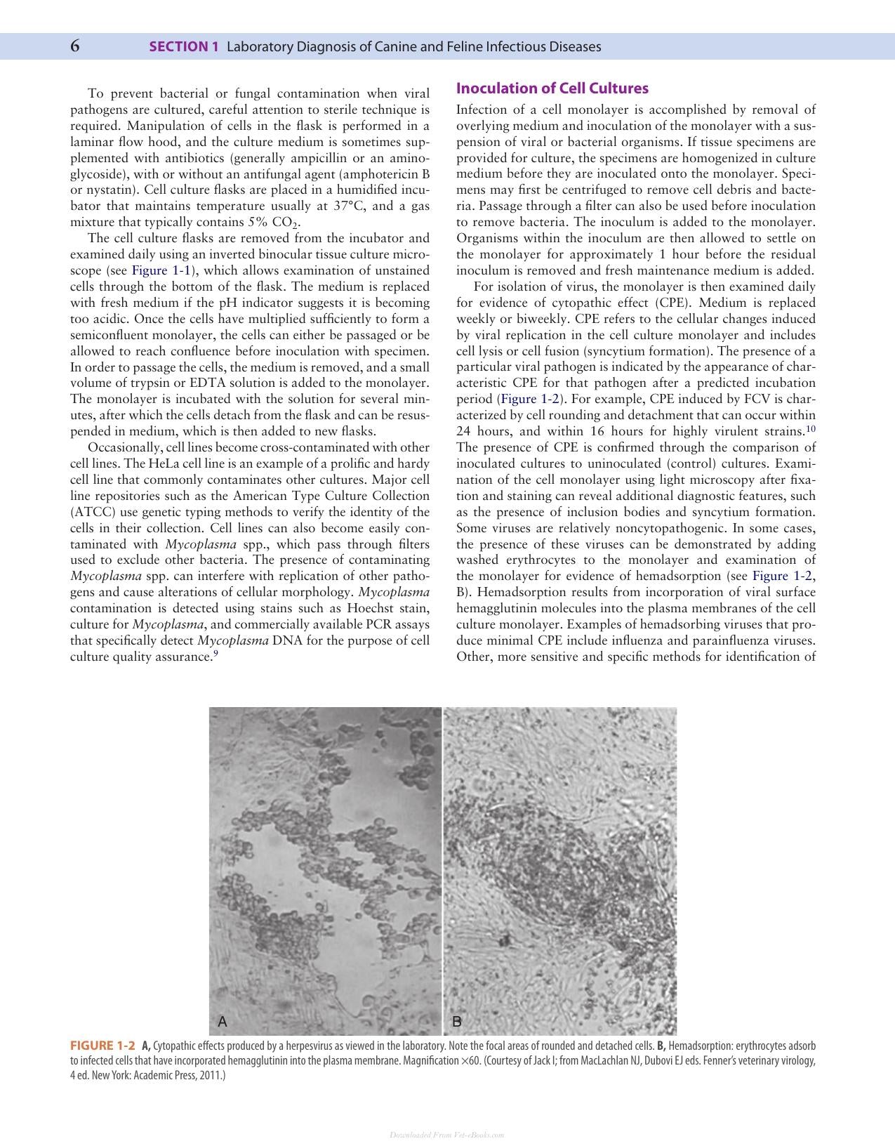 Look inside — page 19