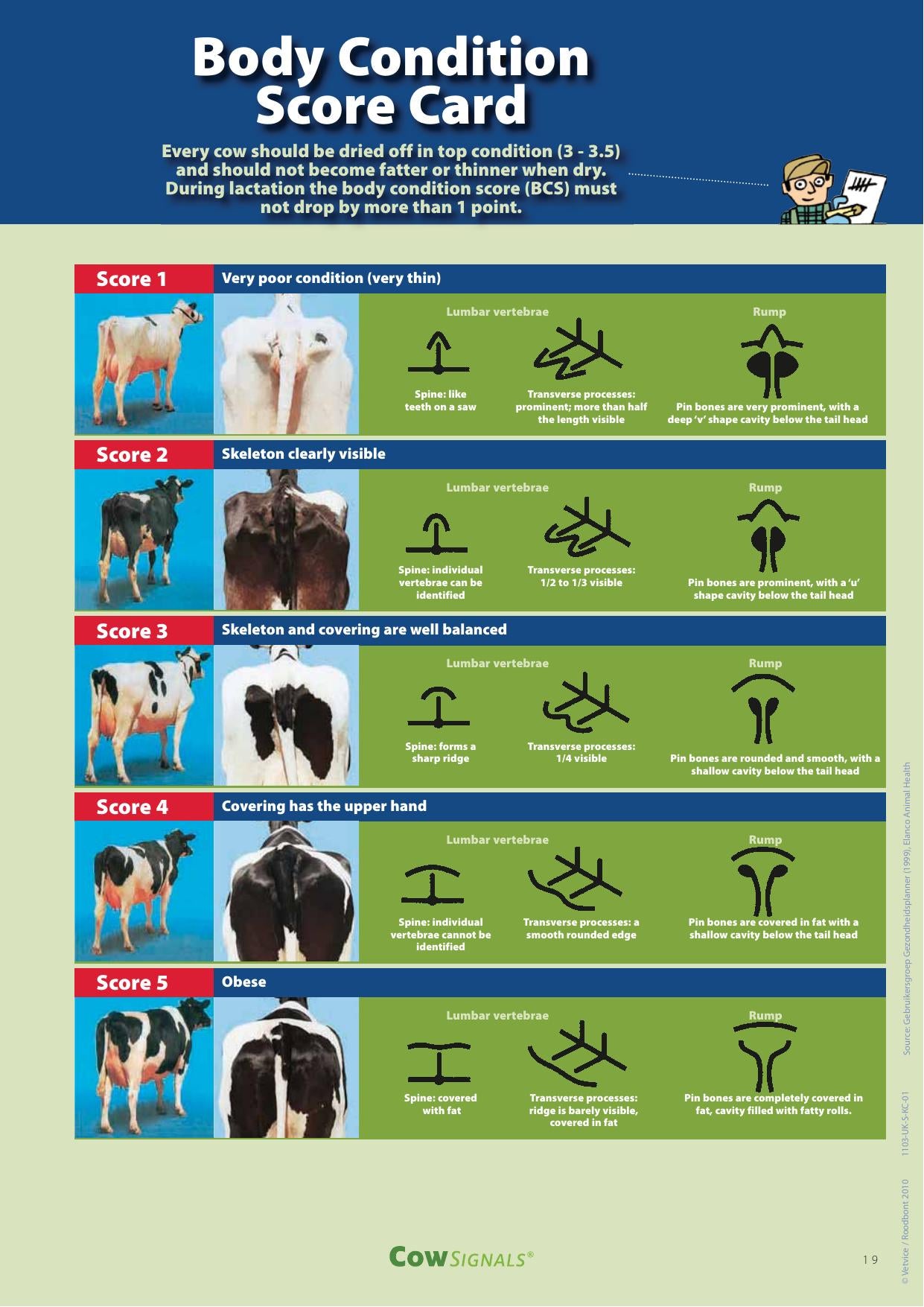 Cow Signals Checkbook Working On Health Production And Welfare