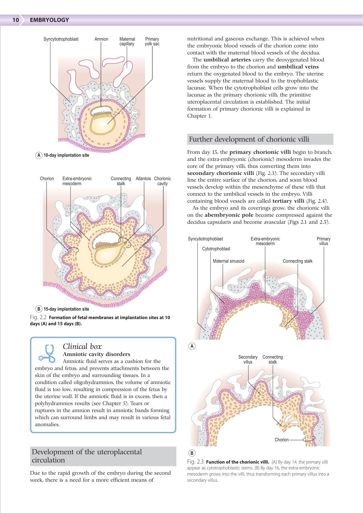 Embryology An Illustrated Colour Text 2Nd Edition