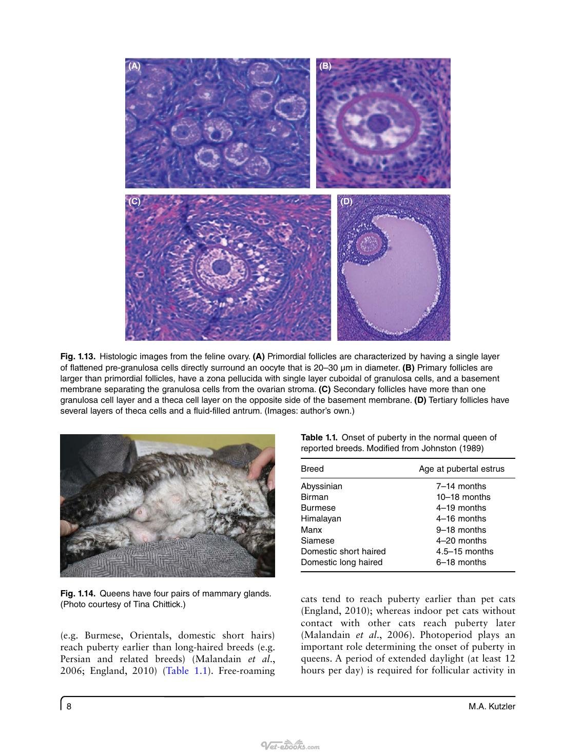 Look inside — page 19