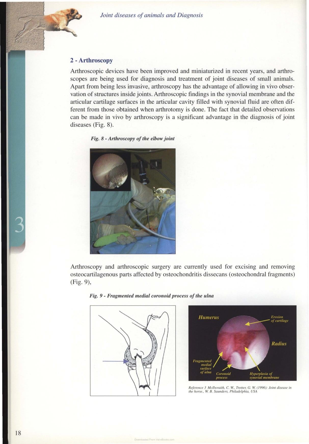 Diagnosis And Treatment Of Joint Disease Of Small Animals
