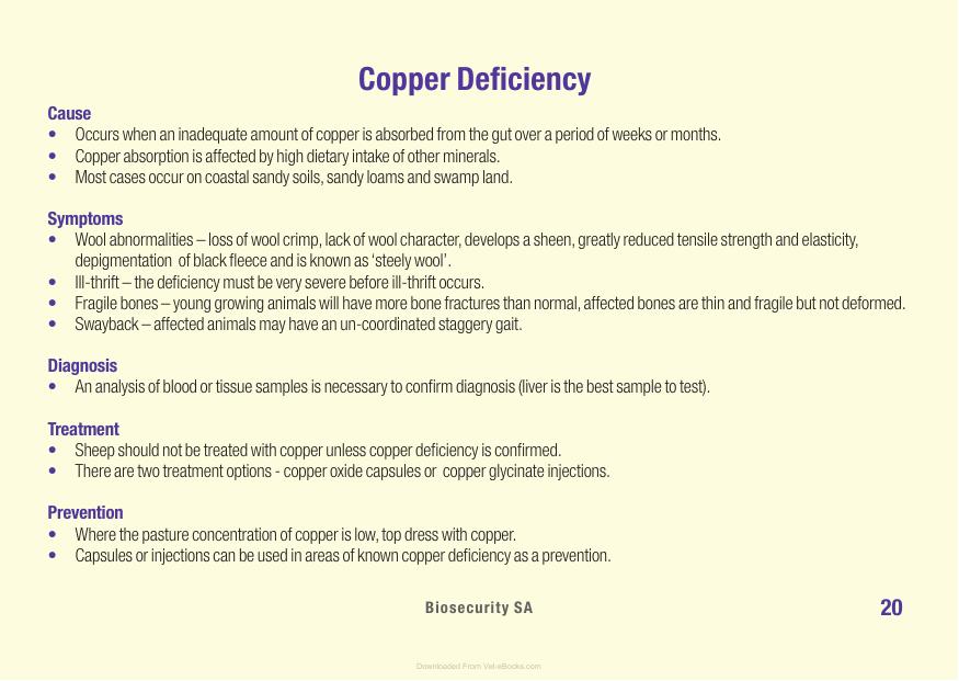 Sheep Diseases The Farmers Guide