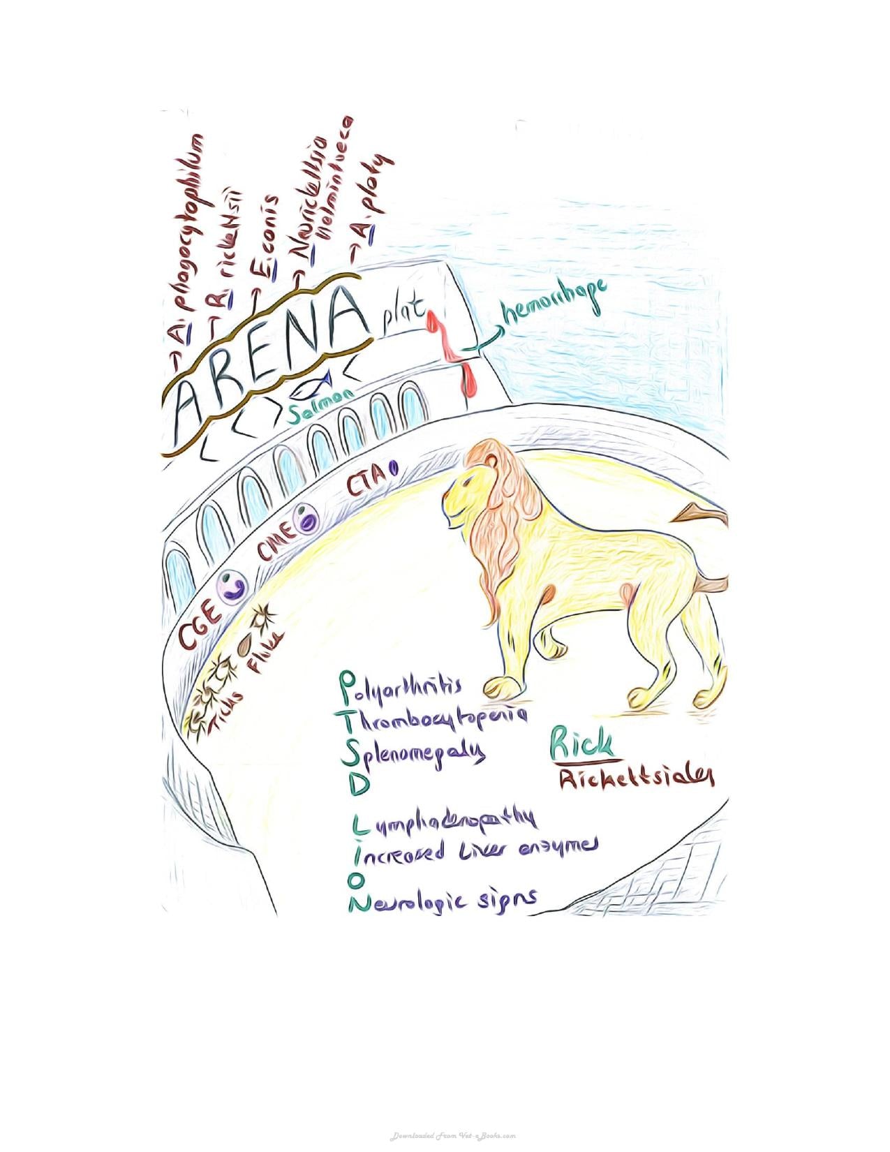 Small Animal Infectious Diseases Mnemonic Cartoons