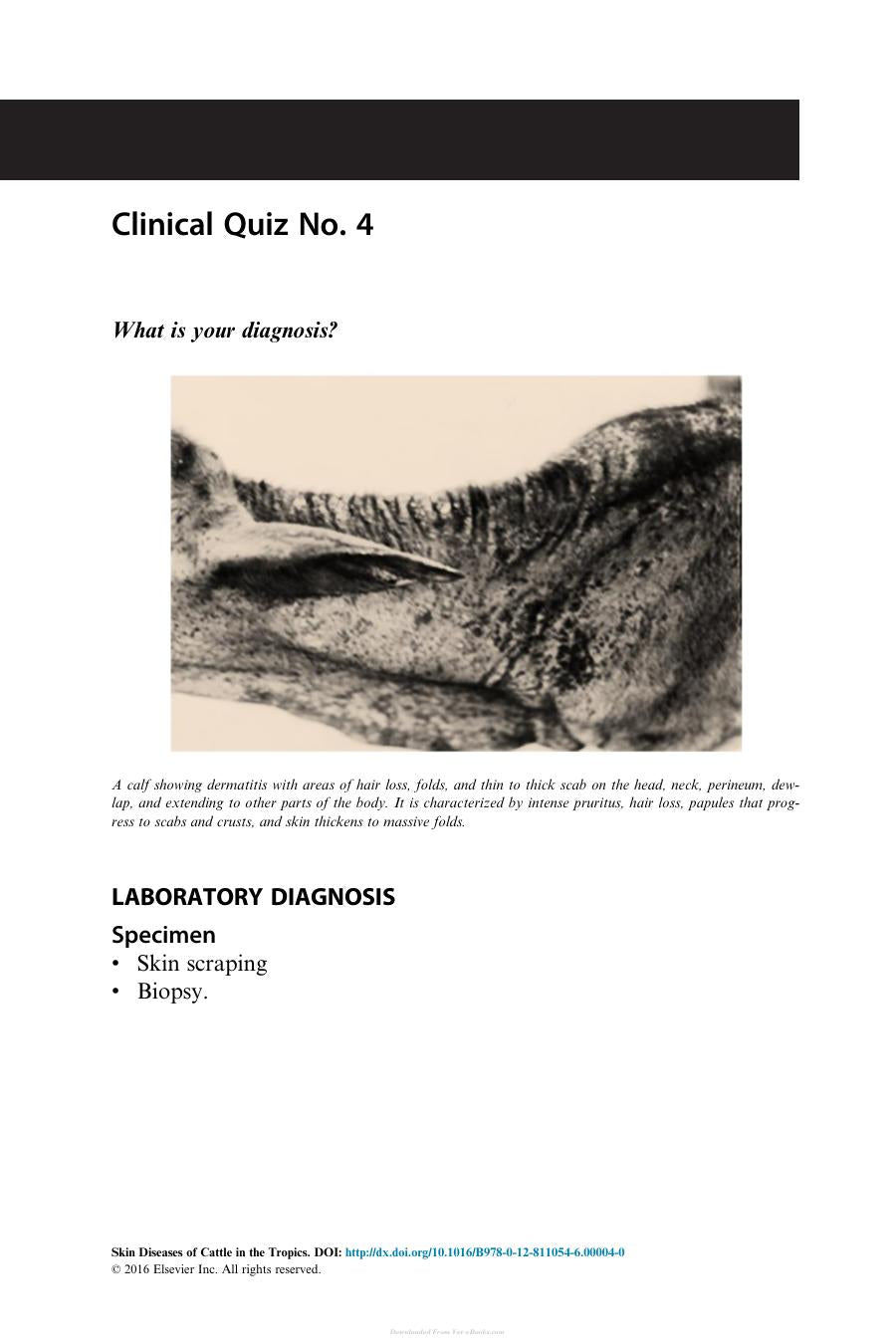 Skin Diseases Of Cattle In The Tropics A Guide To Diagnosis And Treatment
