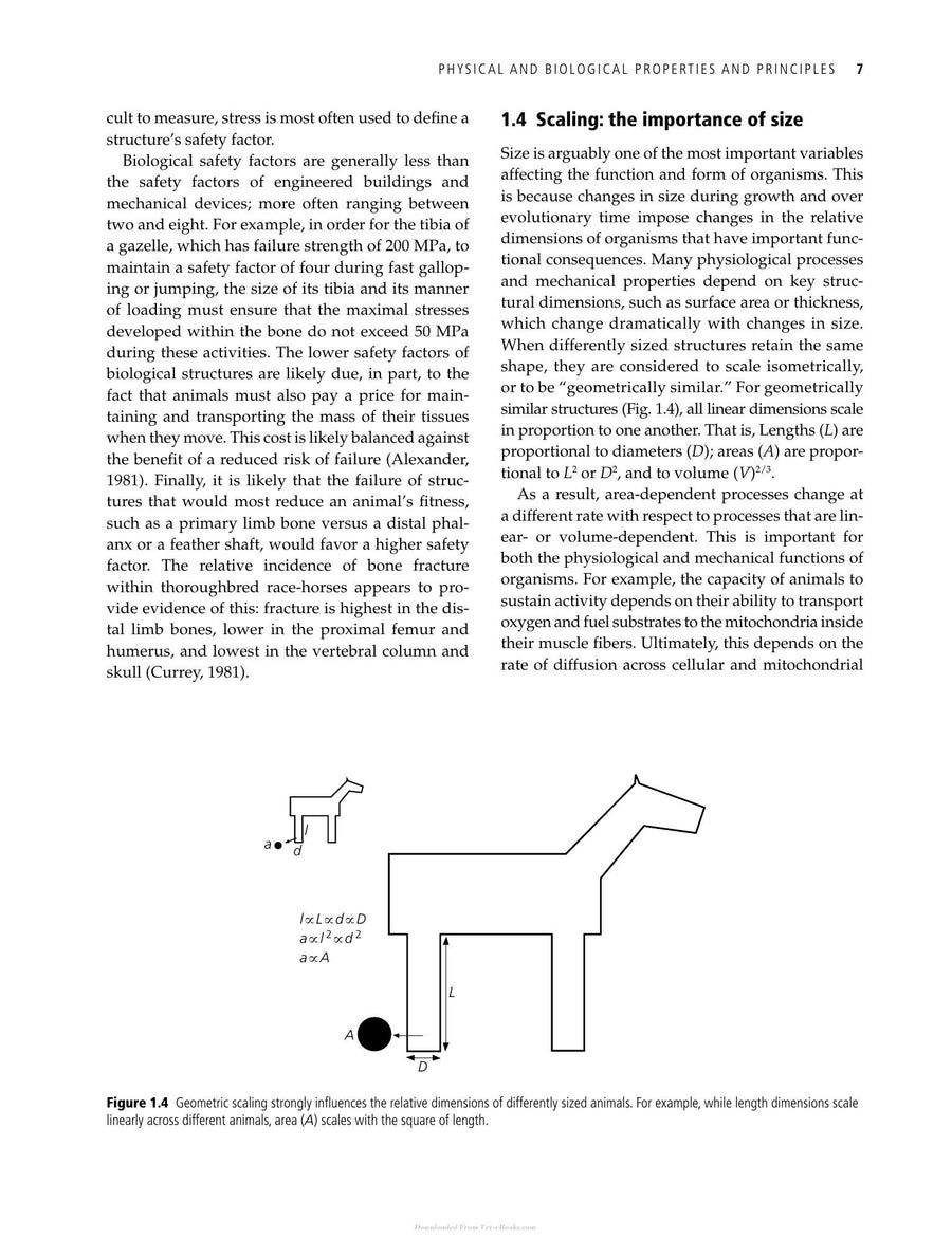 Preview page of Animal Locomotion by Sheila N Patek